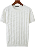 Men's Plus Size Textured Round Neck Short Sleeve Knit Top