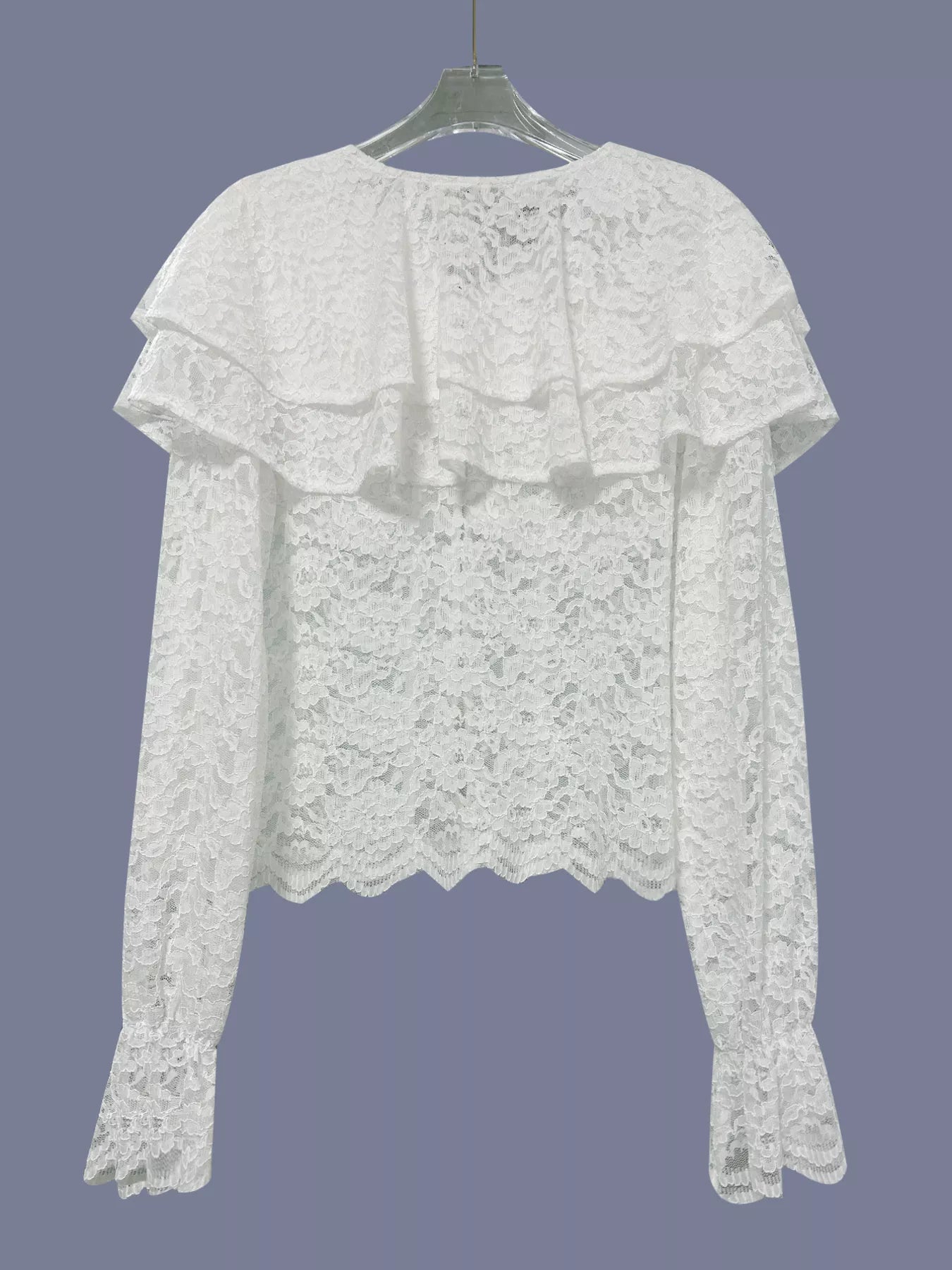 Ruffled Lace Flounce Sleeve Blouse