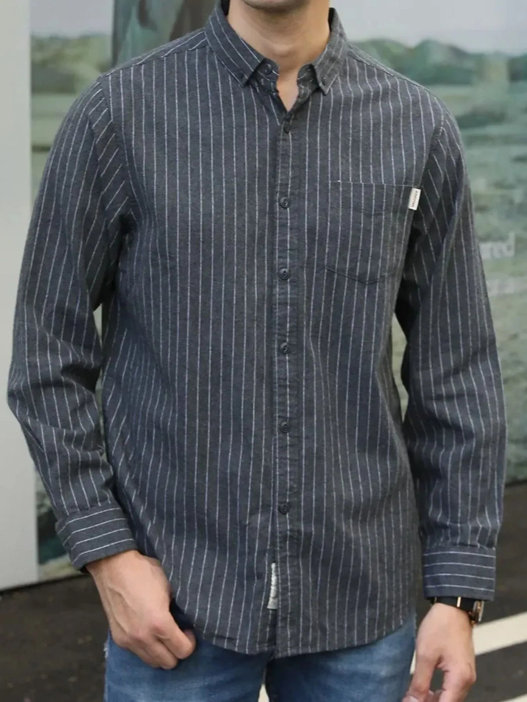 Men's Plus Size Pinstripe Button-Down Shirt