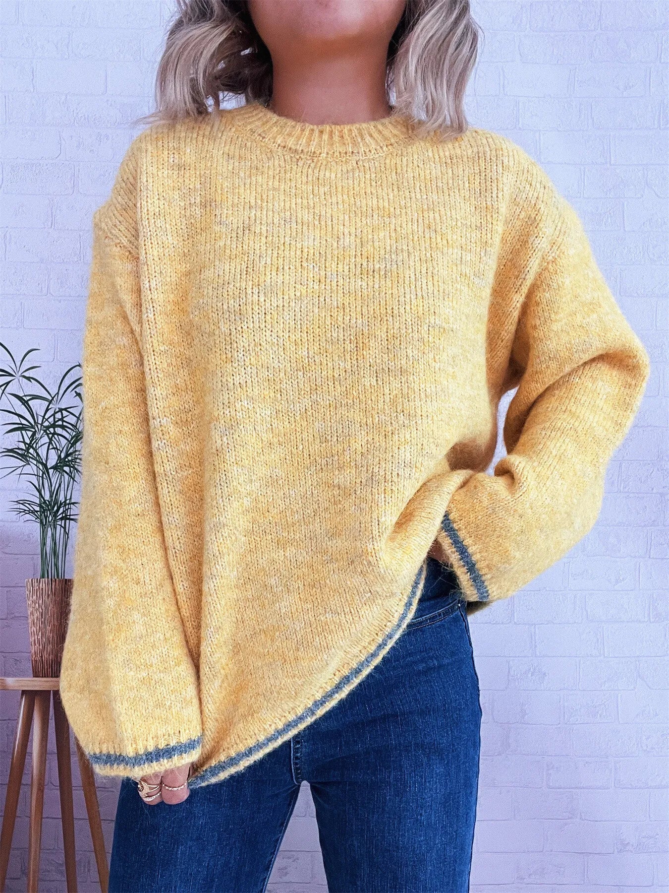 Contrast Trim Round Neck Cozy Sweater