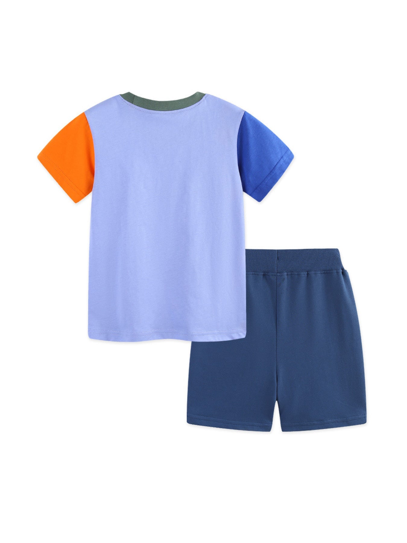 Children's Animal Graphic Color Block Tee and Shorts Set