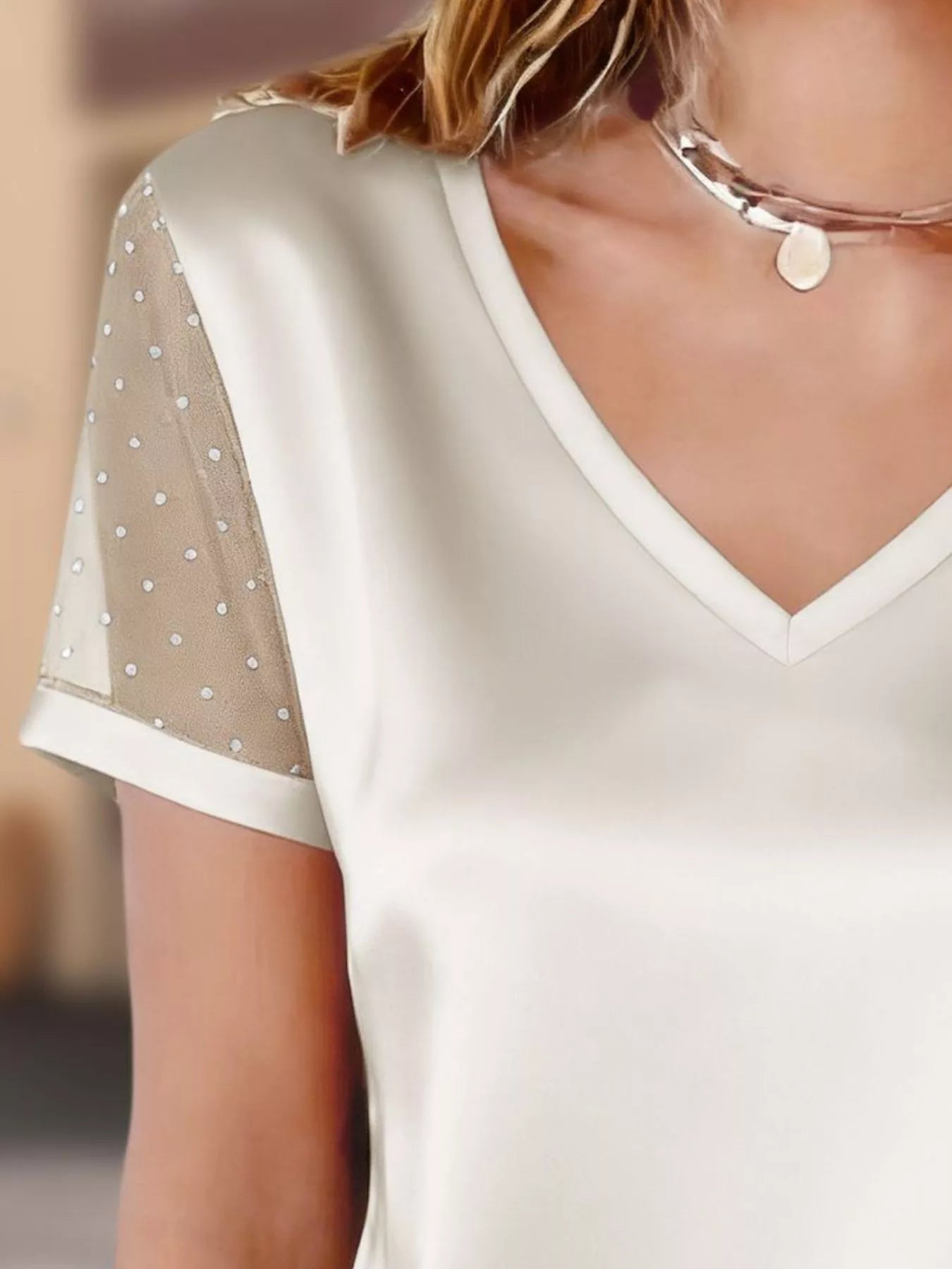 Sheer Sleeve V-Neck Top