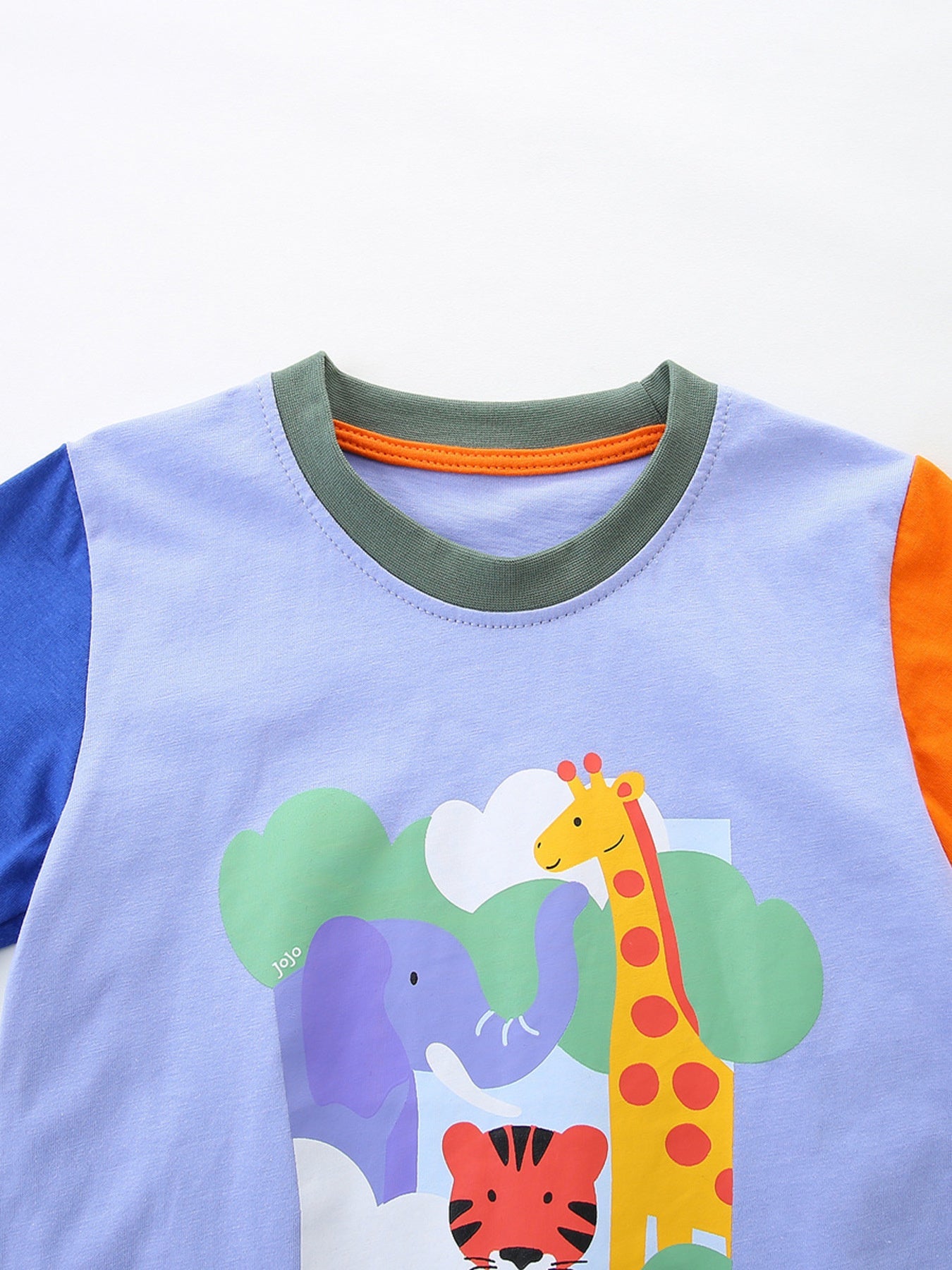 Children's Animal Graphic Color Block Tee and Shorts Set