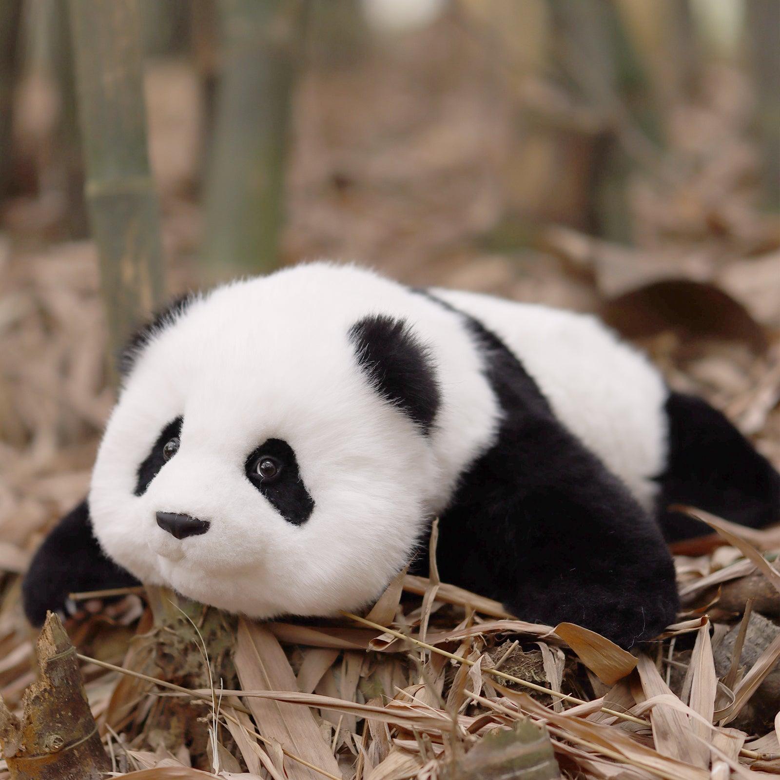 Menglan Panda Weighted – Ultra Realistic Collectible Toy