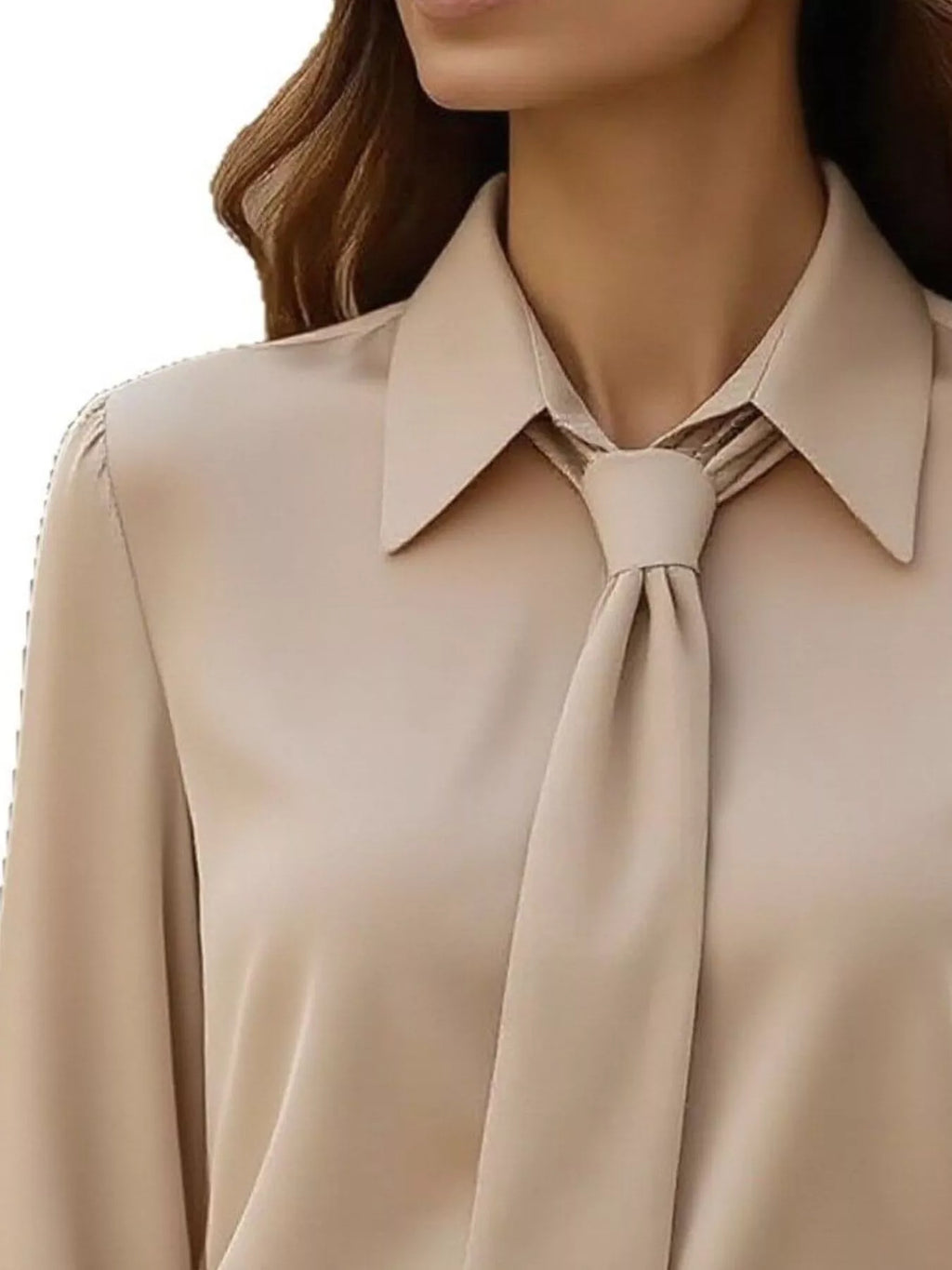 Collared Neck Long Sleeve Blouse