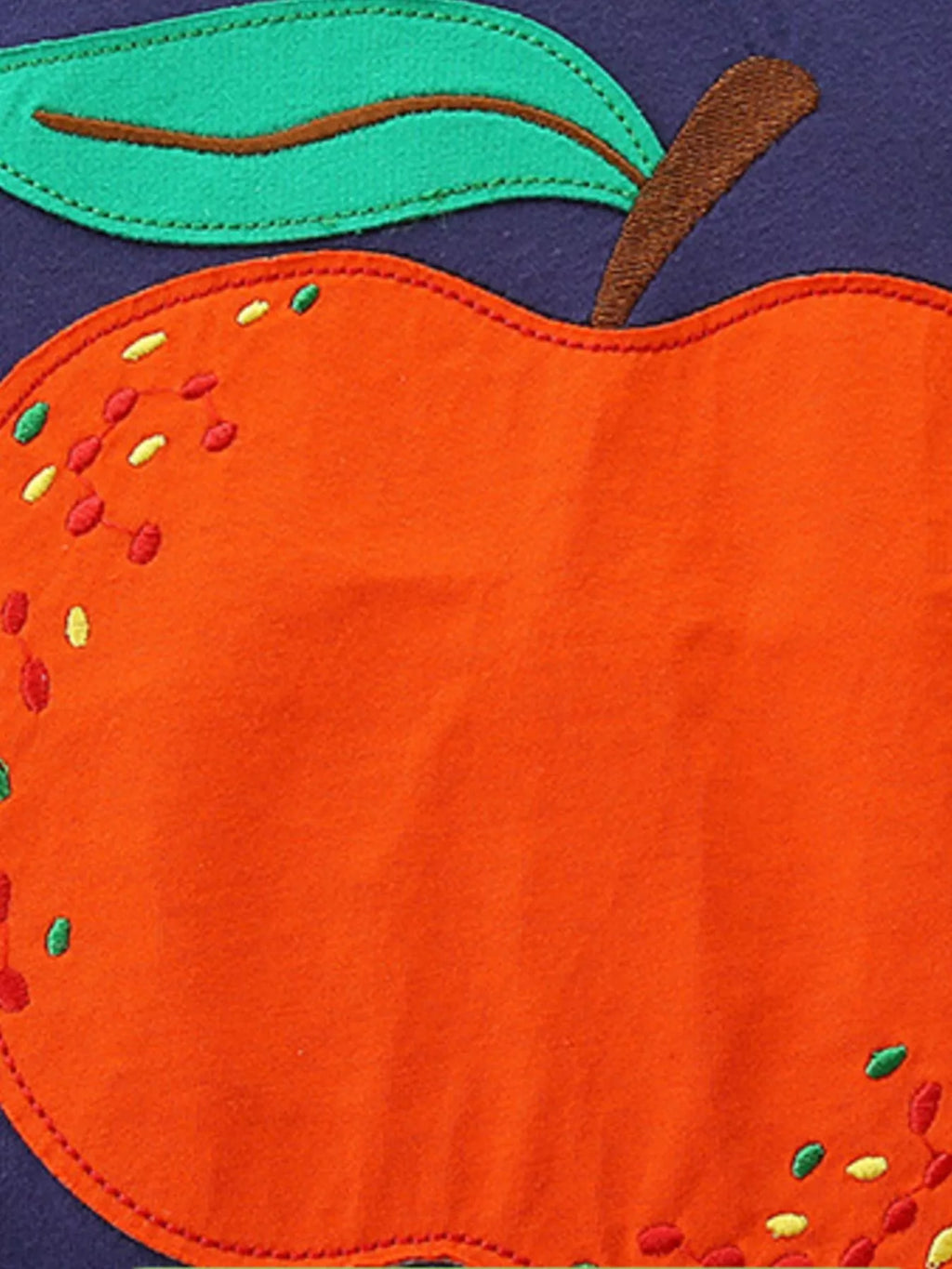 Children's Apple Embroidered T-Shirt & Shorts Set