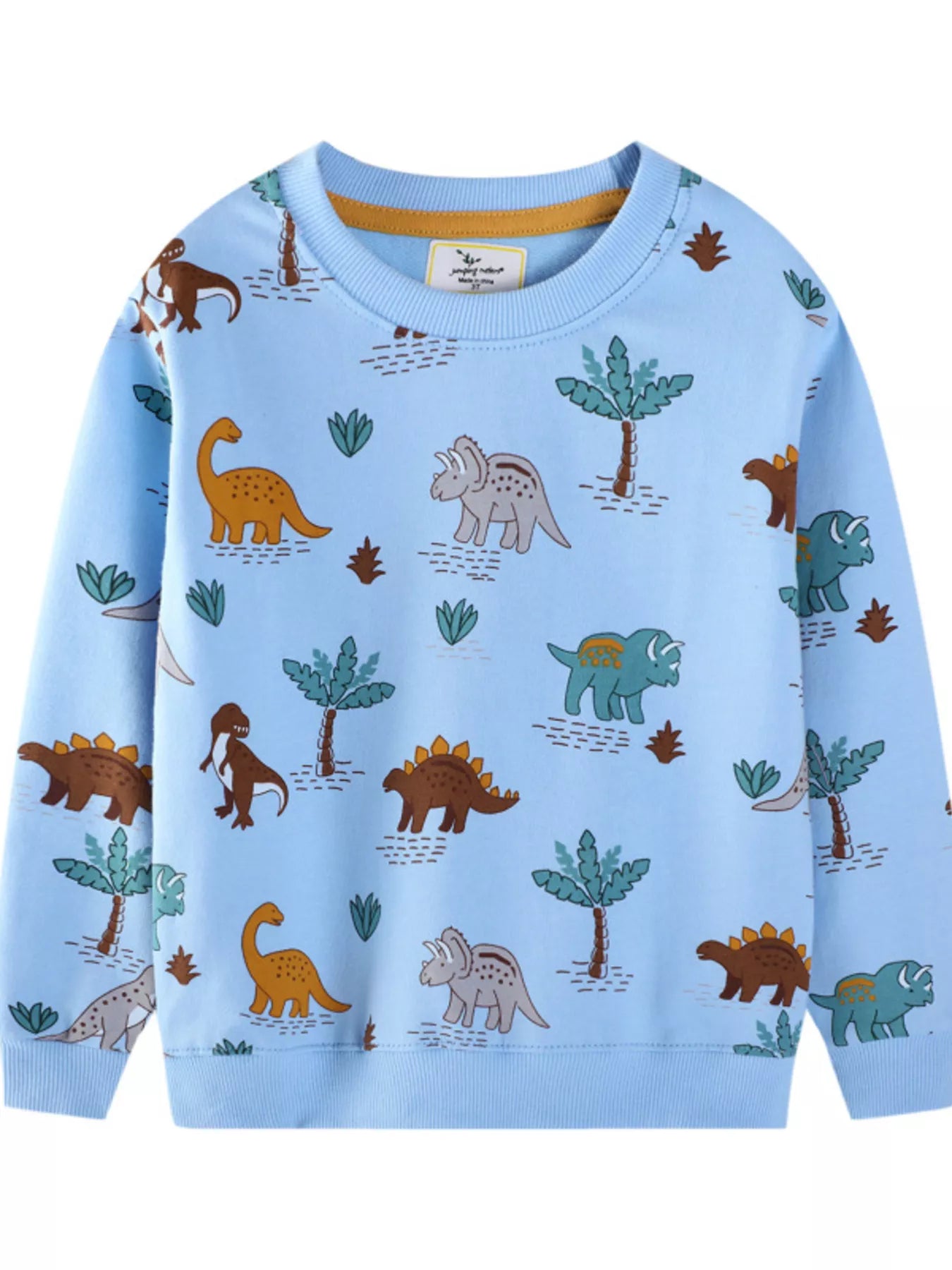 Children's Dinosaur Print Crew Neck Sweatshirt