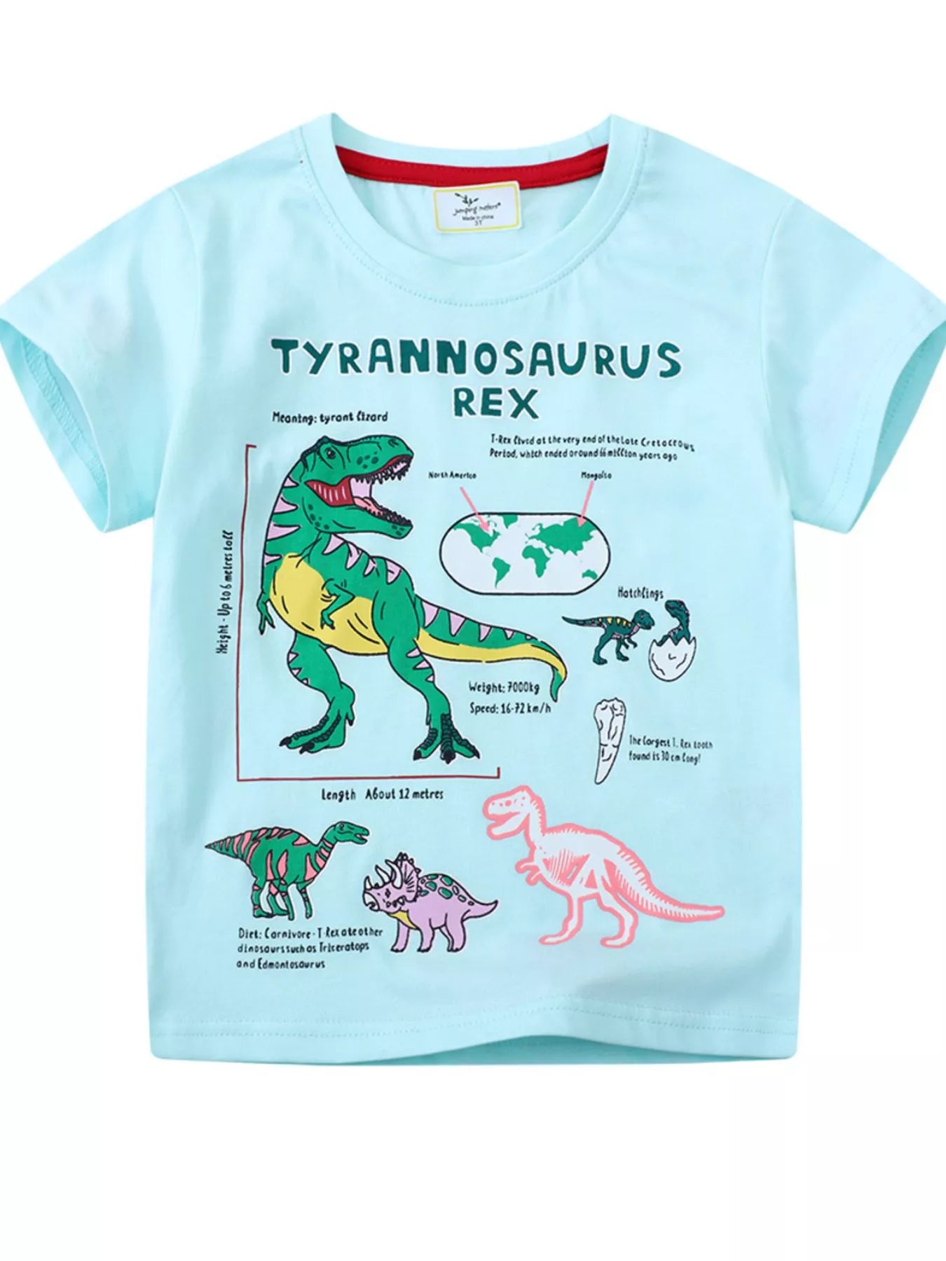 Children's Dinosaur Graphic Short Sleeve T-Shirt