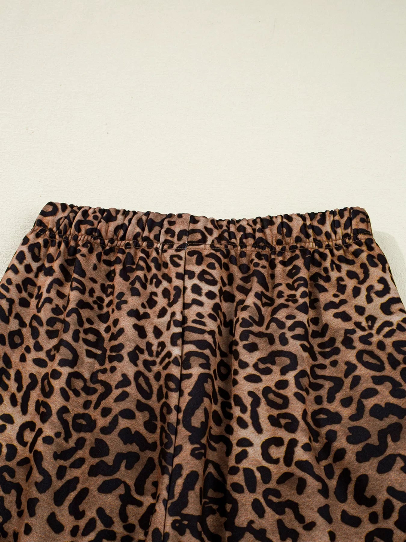 Leopard Print Contrast Trim Long Sleeve Top and Pants Set