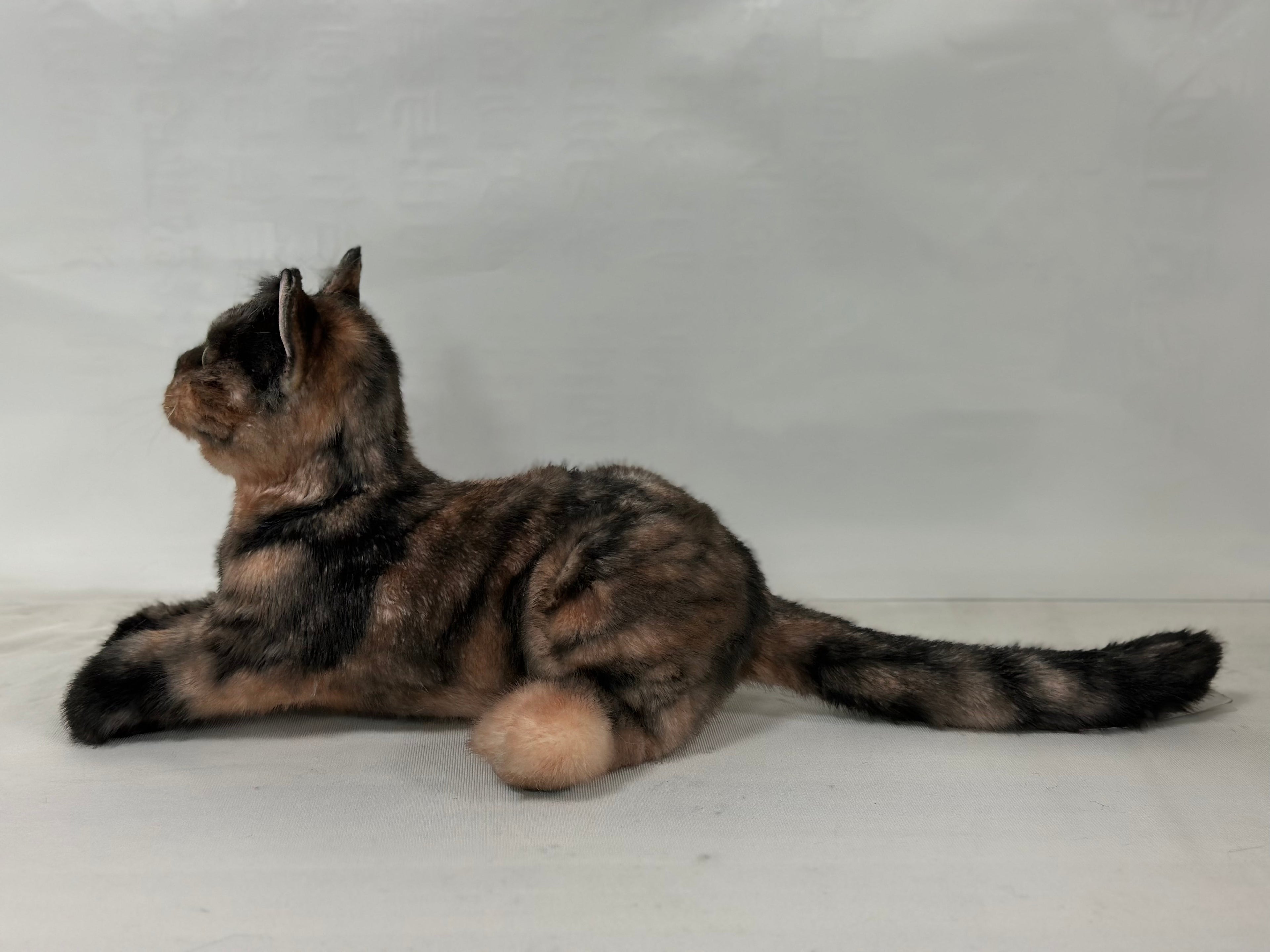 Plush Tortoiseshell Cat Shorthair- Handmade Life-Size Companion & Pet Memorial