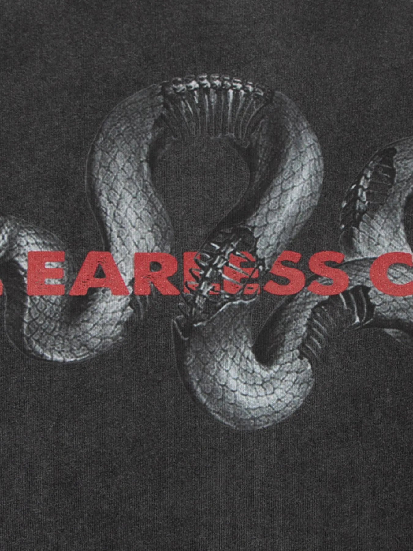 Men's Round Neck Snake Graphic Tank