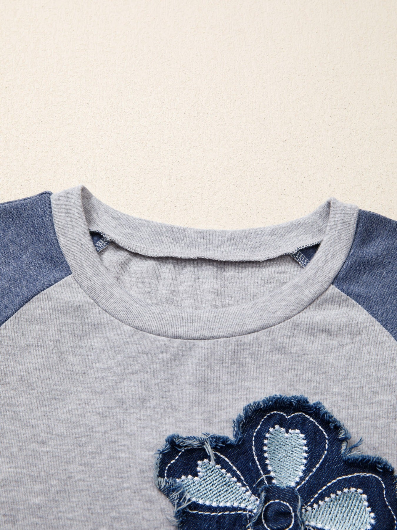 Color Block Flower Embroidered Patch Graphic Raglan Long Sleeve Top
