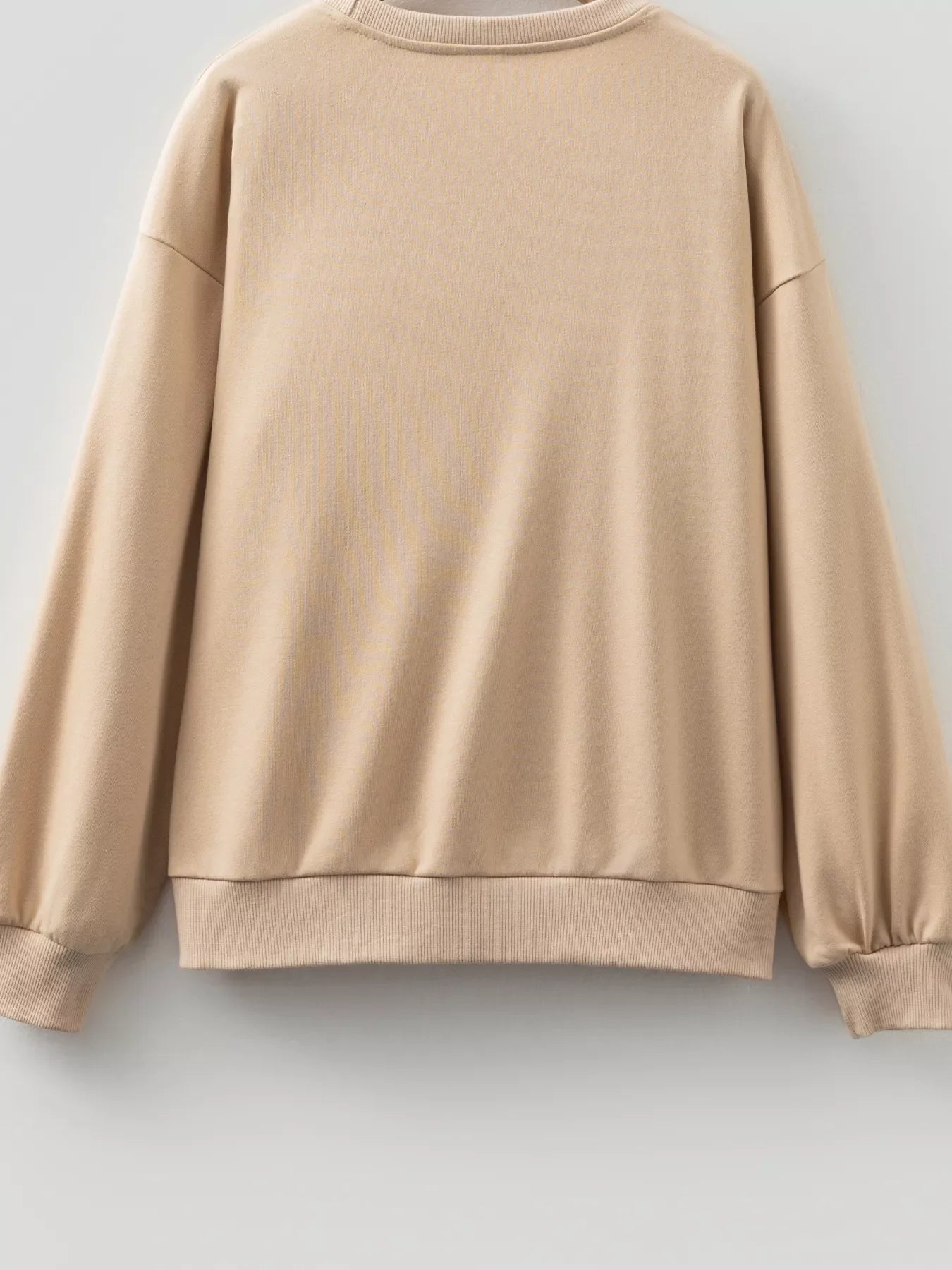 Embroidered Flower Pattern Drop Shoulder Sweatshirt