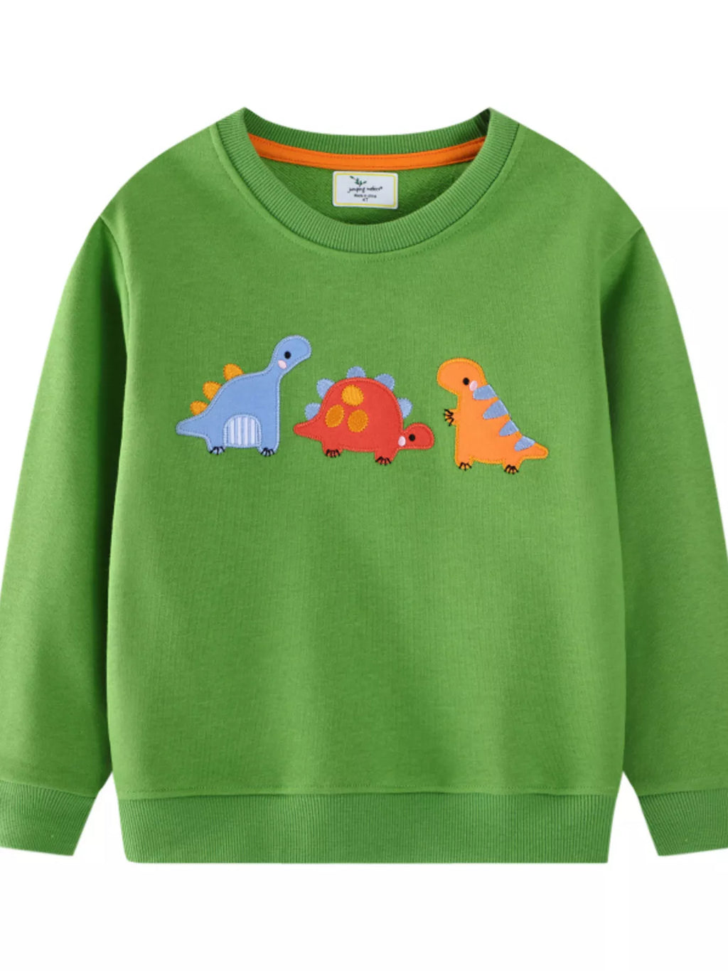Children's Dinosaur Embroidered Crew Neck Sweatshirt