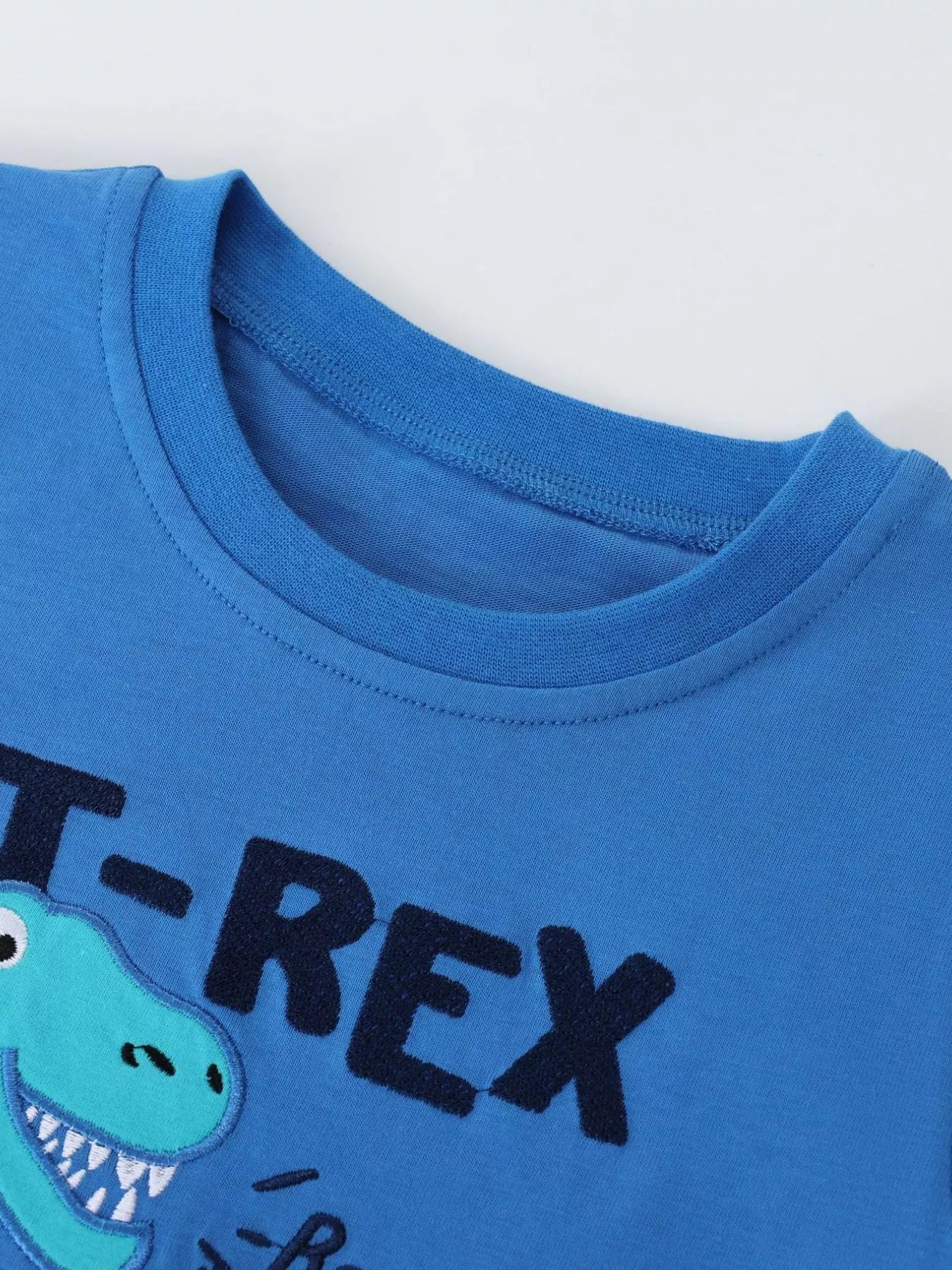Children's Dinosaur Embroidered T-Shirt and Shorts Set
