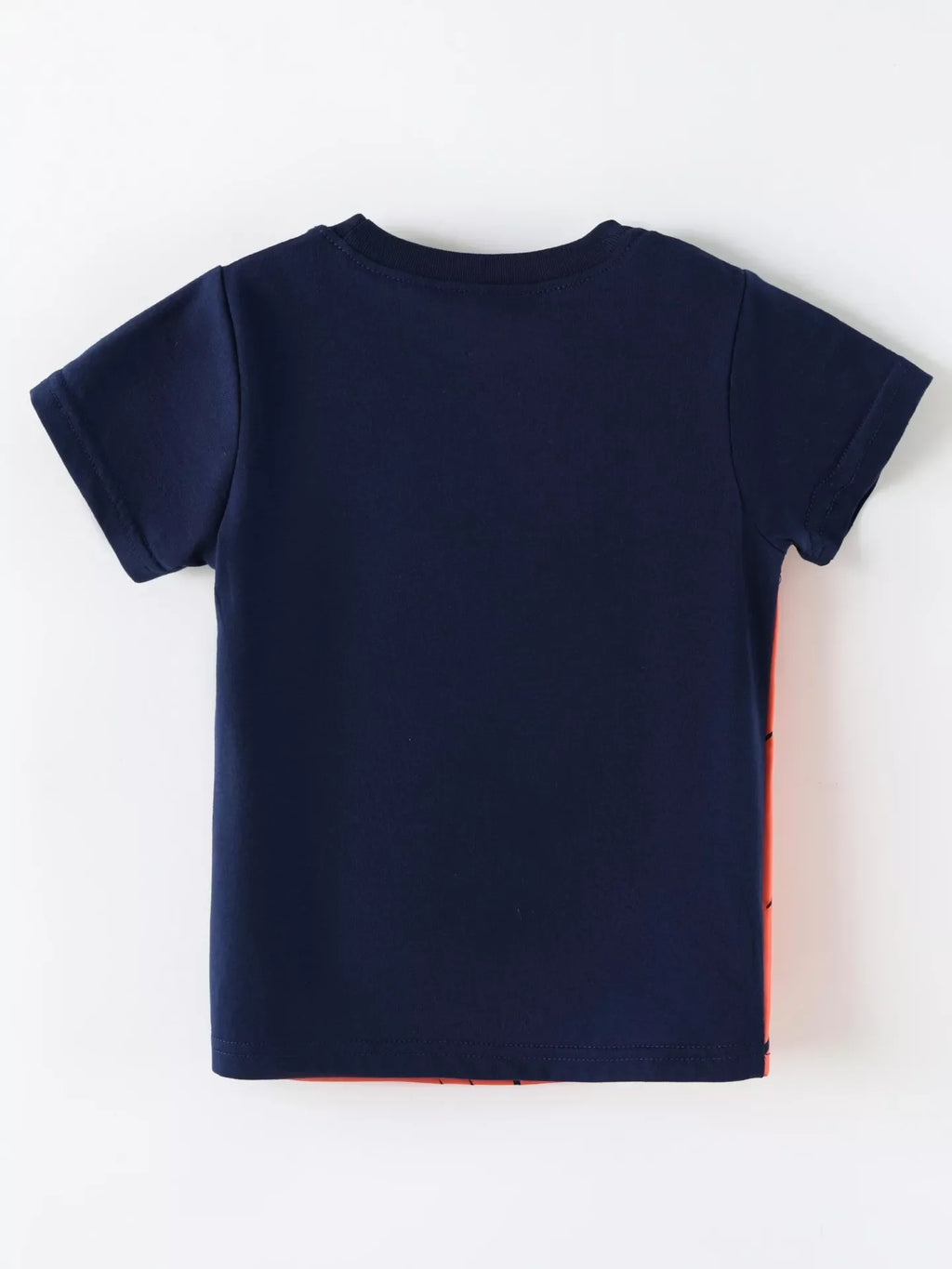Children's Lion Graphic Round Neck T-Shirt