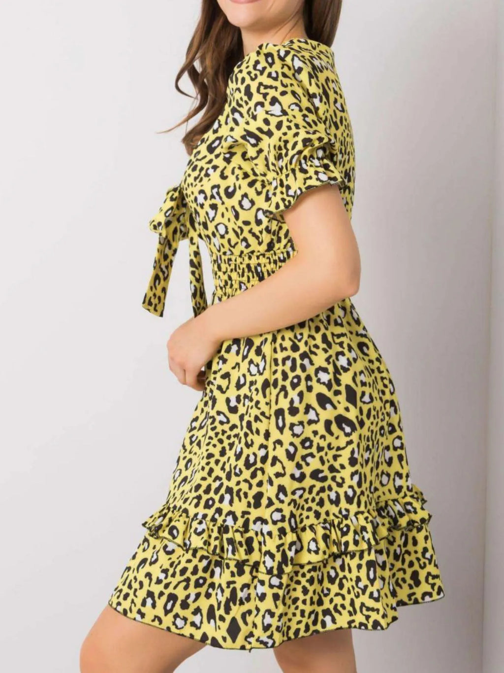 Leopard Print Tie Front Short Sleeve Mini Dress
