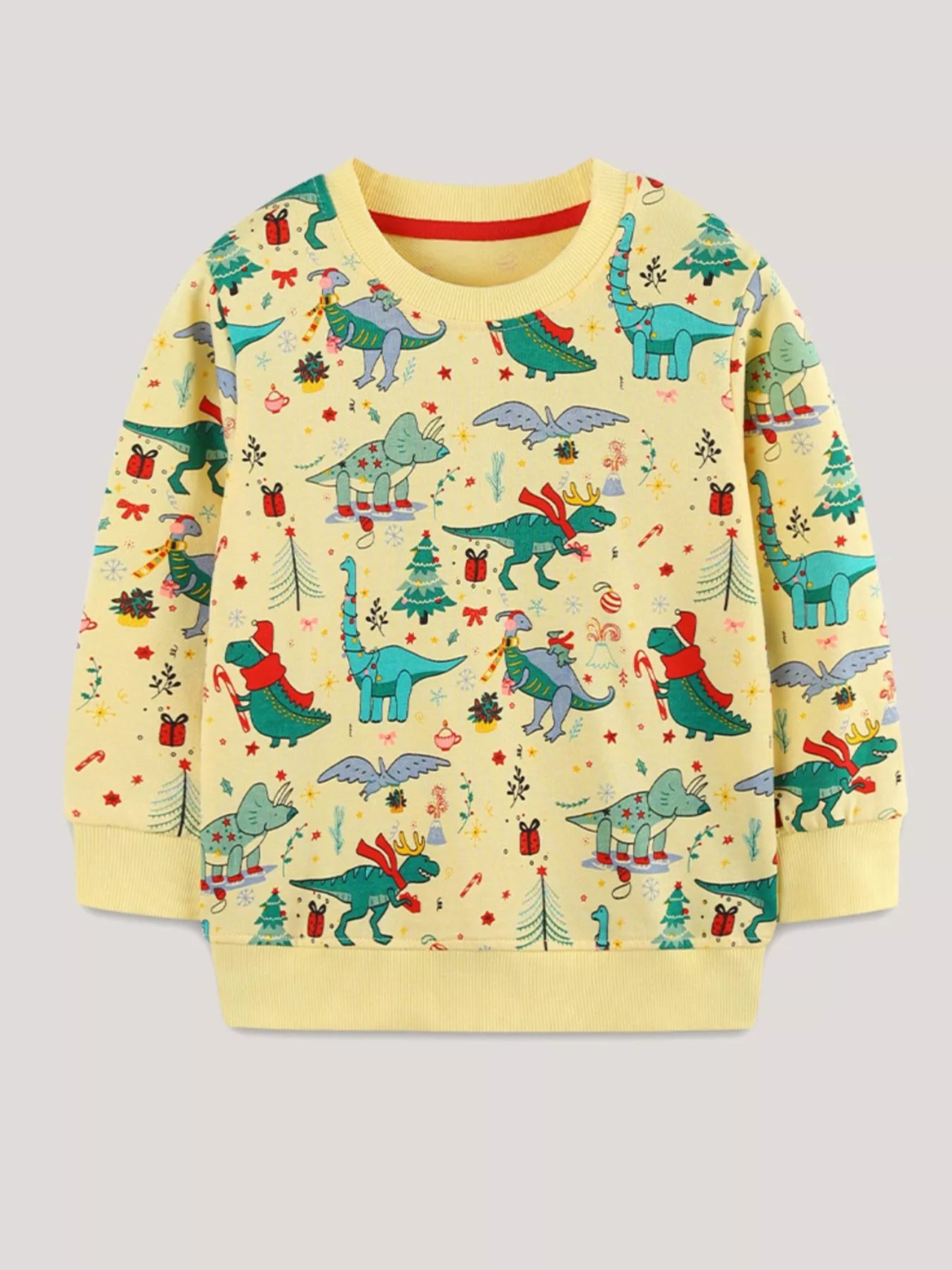 Children‘s Dinosaur Print Long Sleeve Sweatshirt
