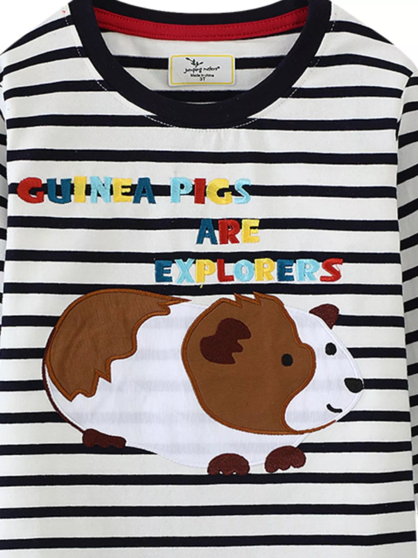 Children's Guinea Pig Explorer Striped Long Sleeve T-Shirt