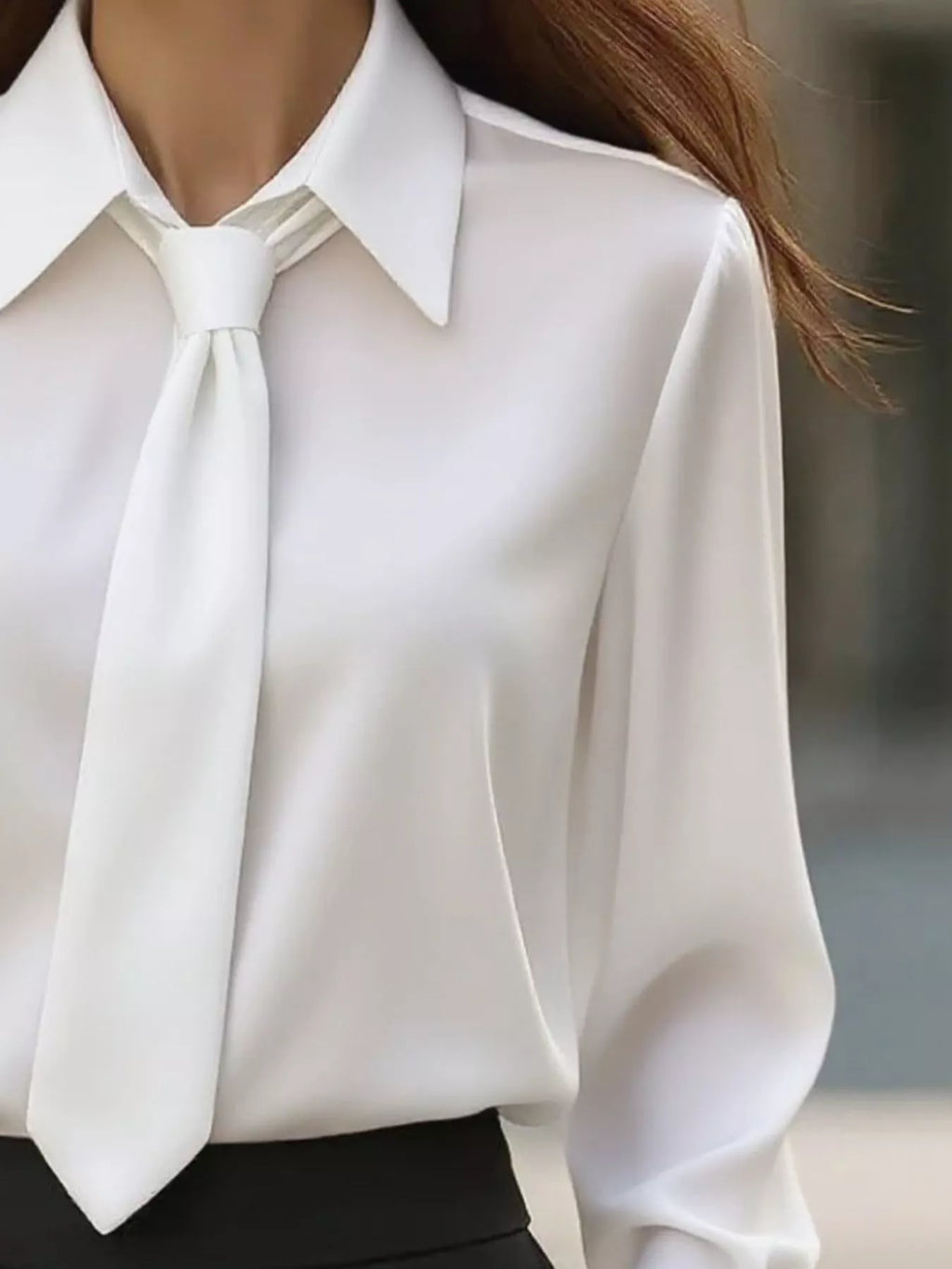 Collared Neck Long Sleeve Blouse
