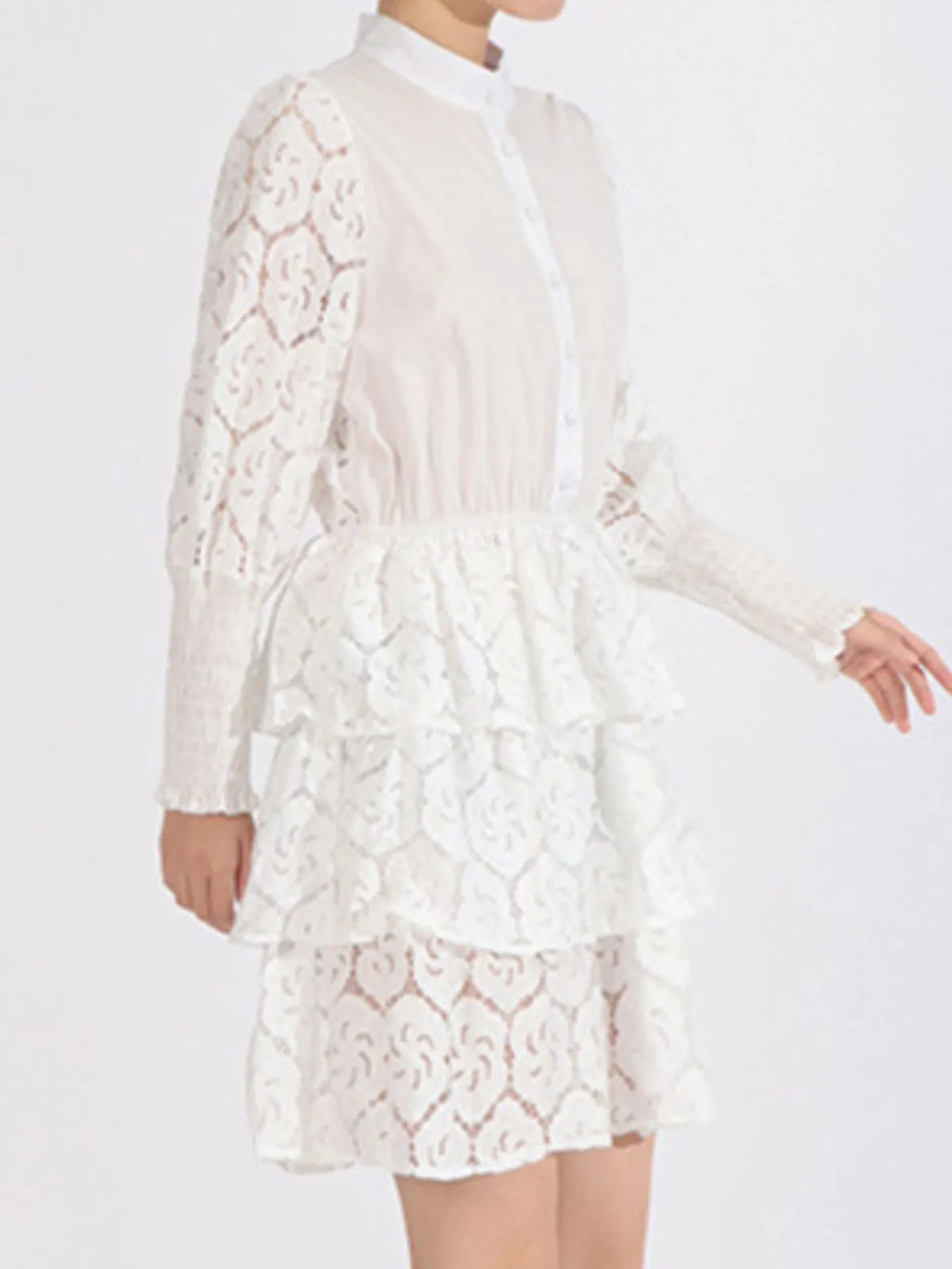 Full Size Lace Layered Long Sleeve Dress Plus Size