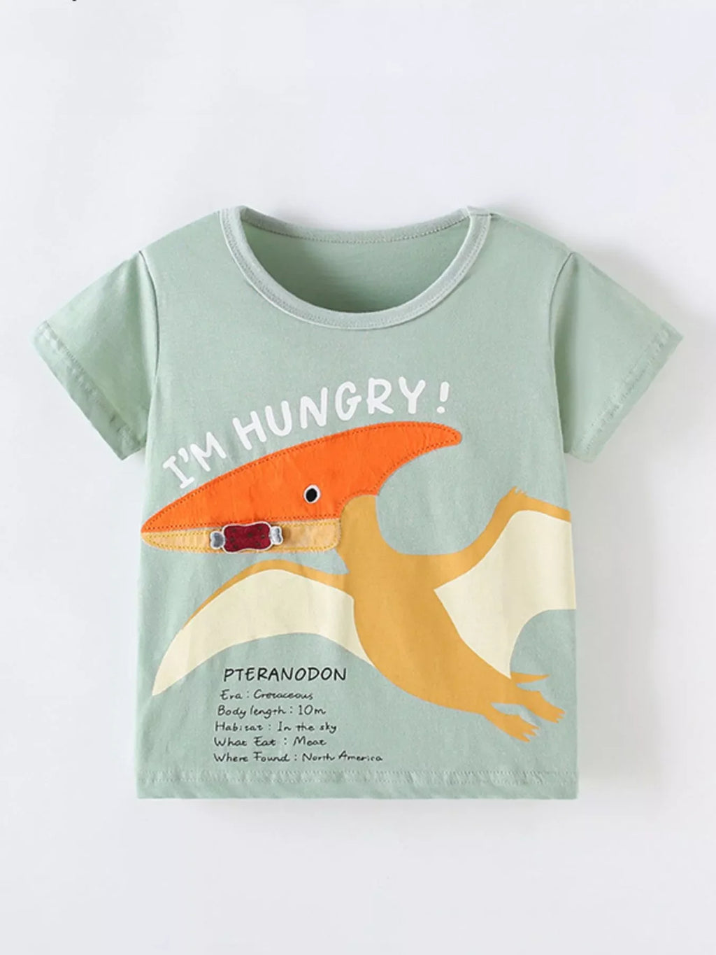 Children's Graphic Short Sleeve T-Shirt