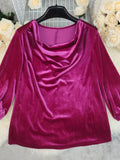 Cowl Neck Long Sleeve Velvet Blouse