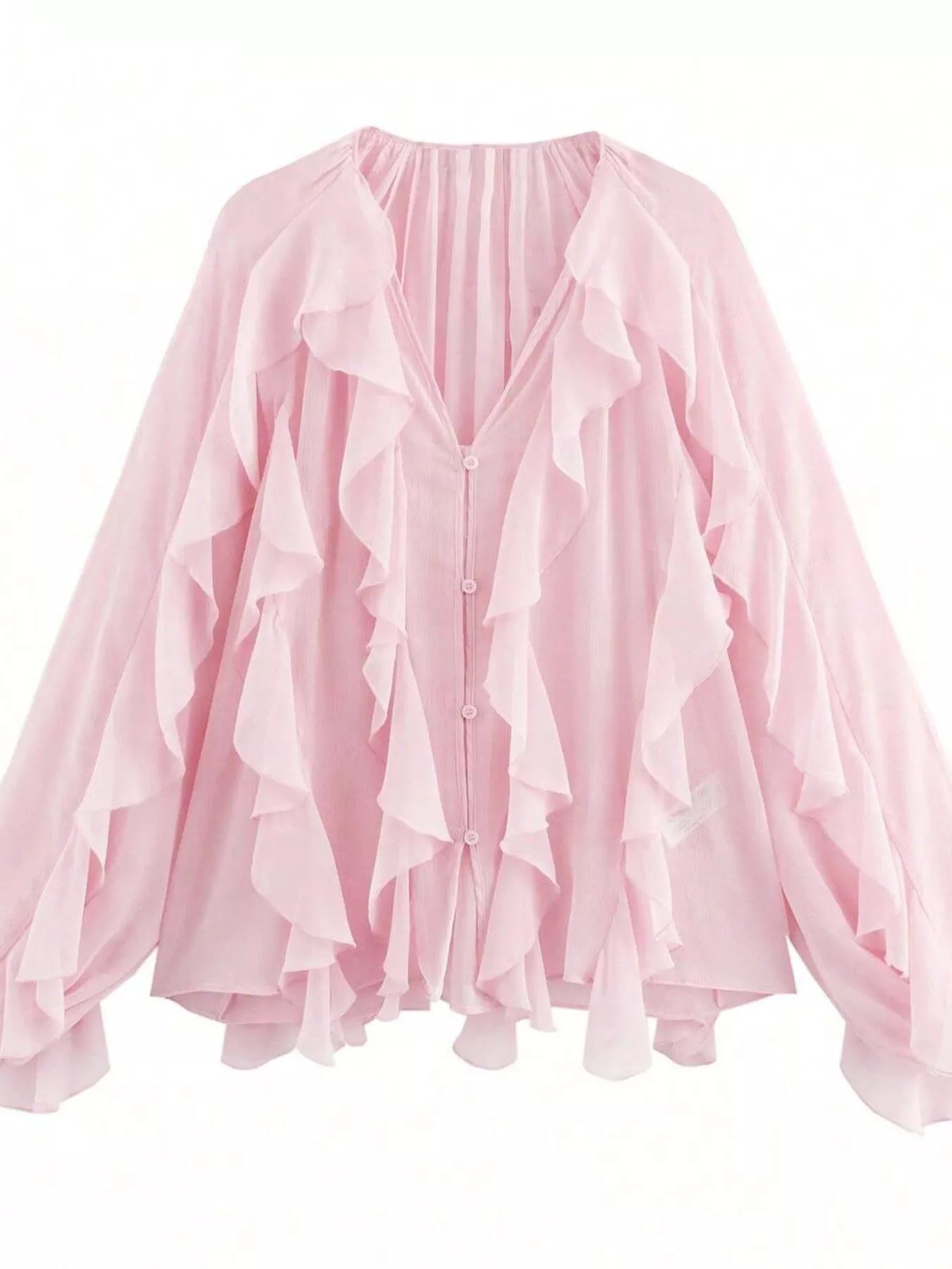 Ruffled Sheer Long Sleeve Blouse