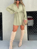 Full Size Button-Down Mini Shirt Dress Plus Size