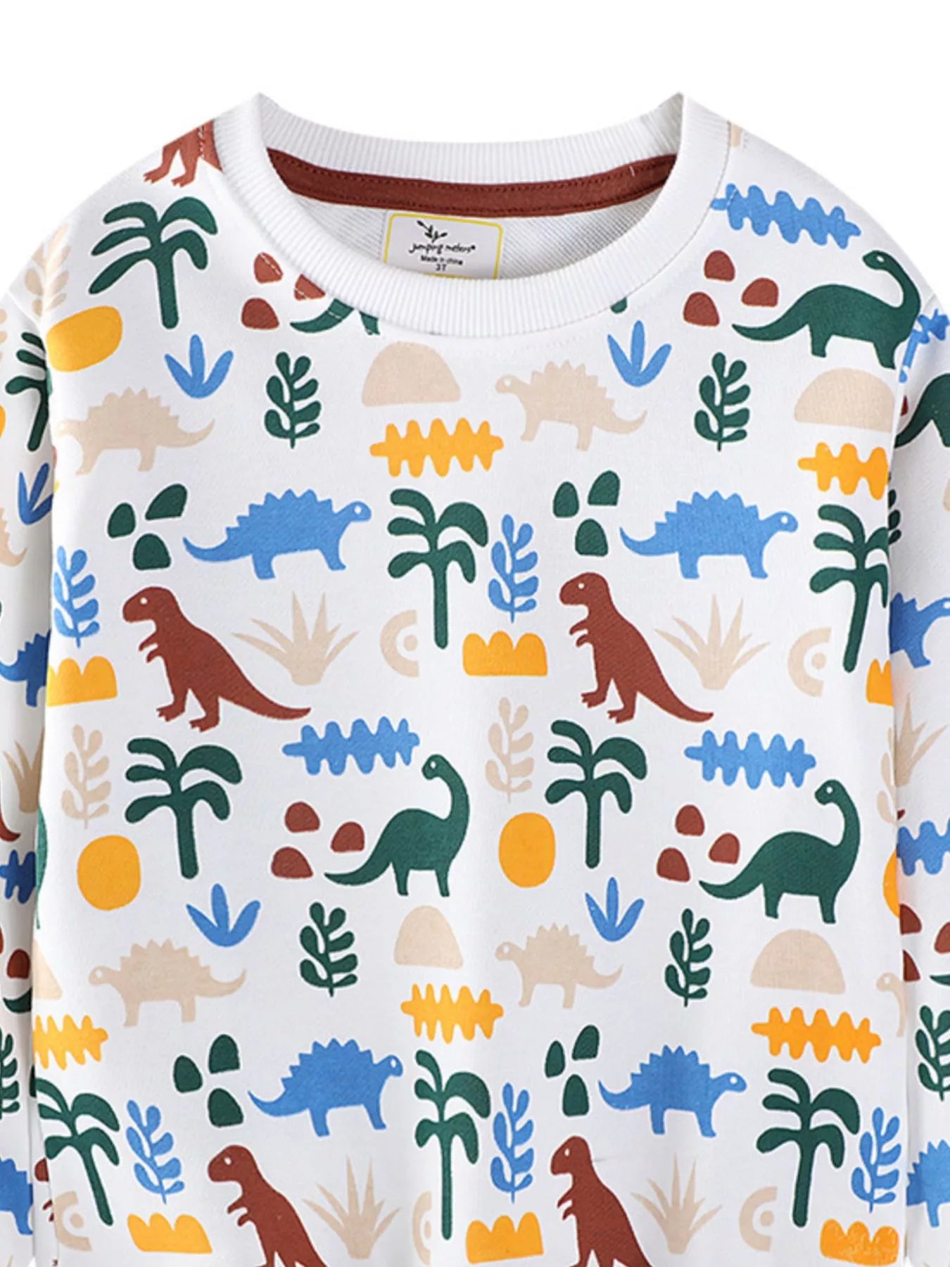 Children's Dinosaur Print Crew Neck Sweatshirt