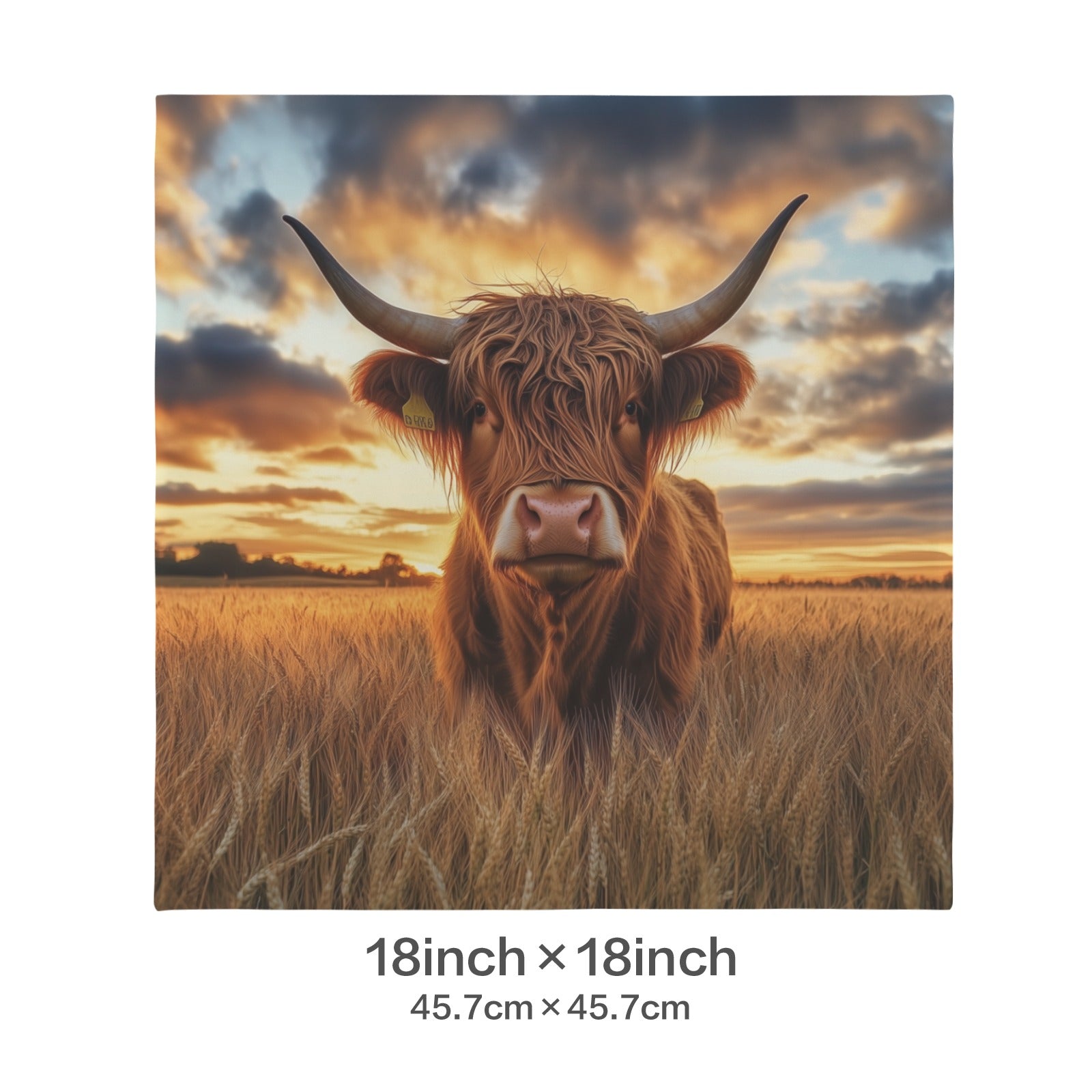 Baha Ranch Beautiful Highland Velvety Soft Pillow Cover Made in America