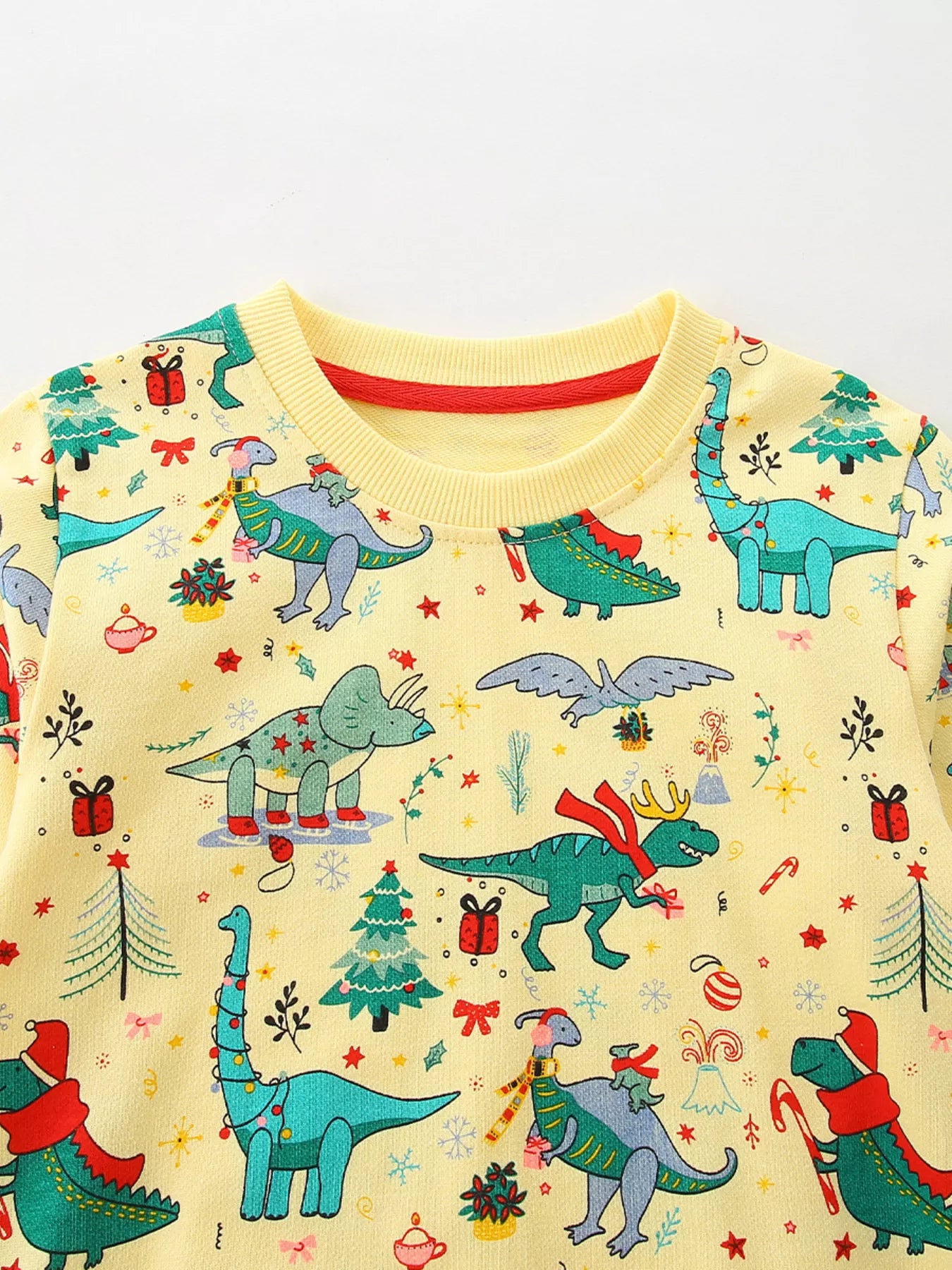 Children‘s Dinosaur Print Long Sleeve Sweatshirt