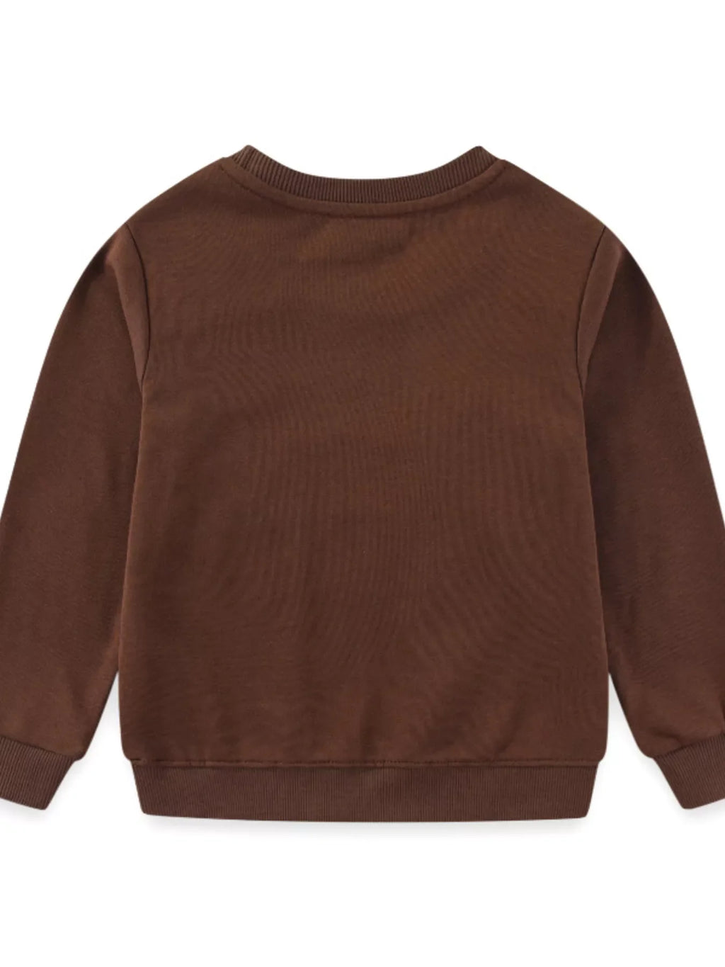 Children's Dinosaur Embroidered Crew Neck Sweatshirt