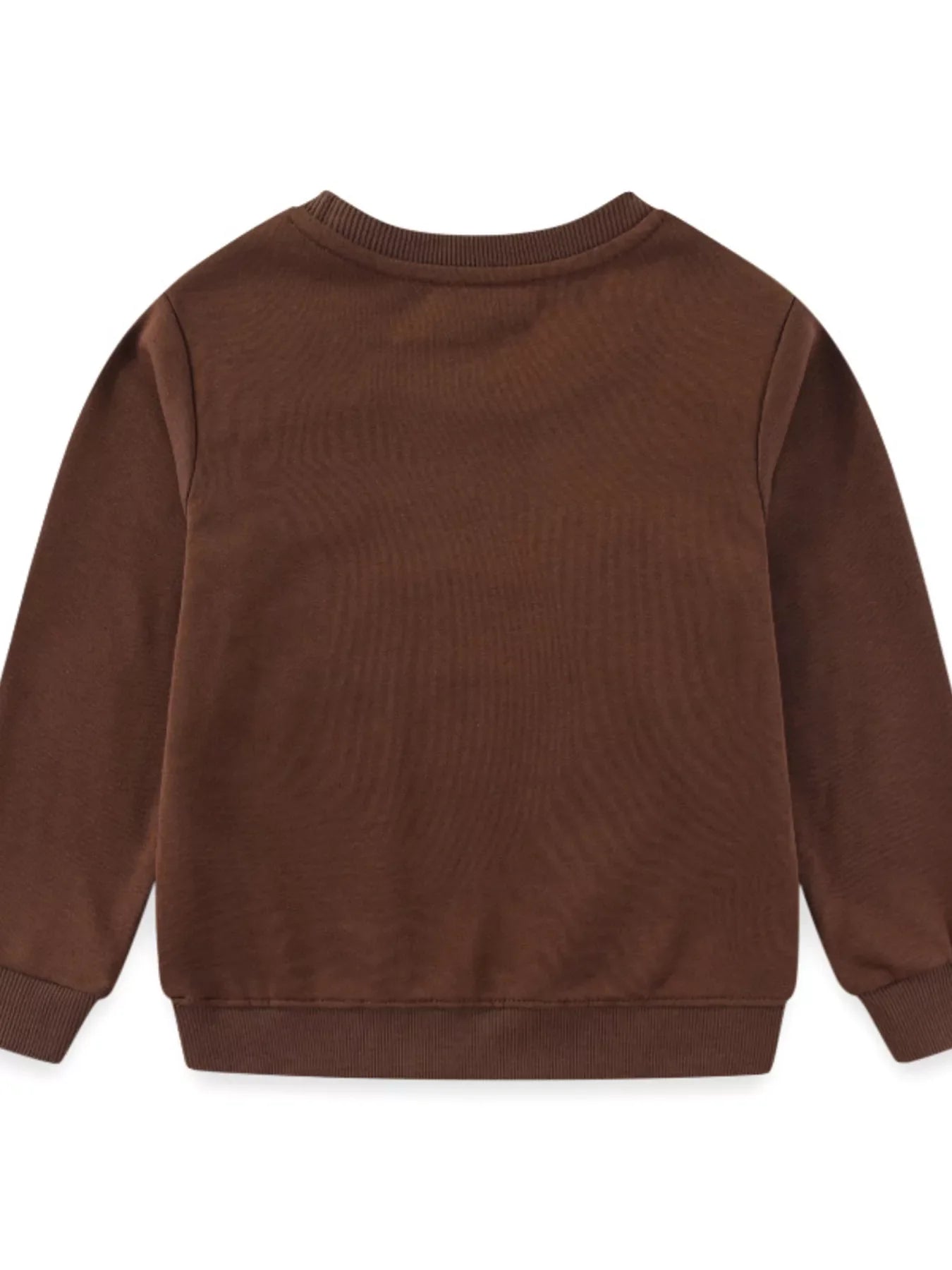 Children's Dinosaur Embroidered Crew Neck Sweatshirt