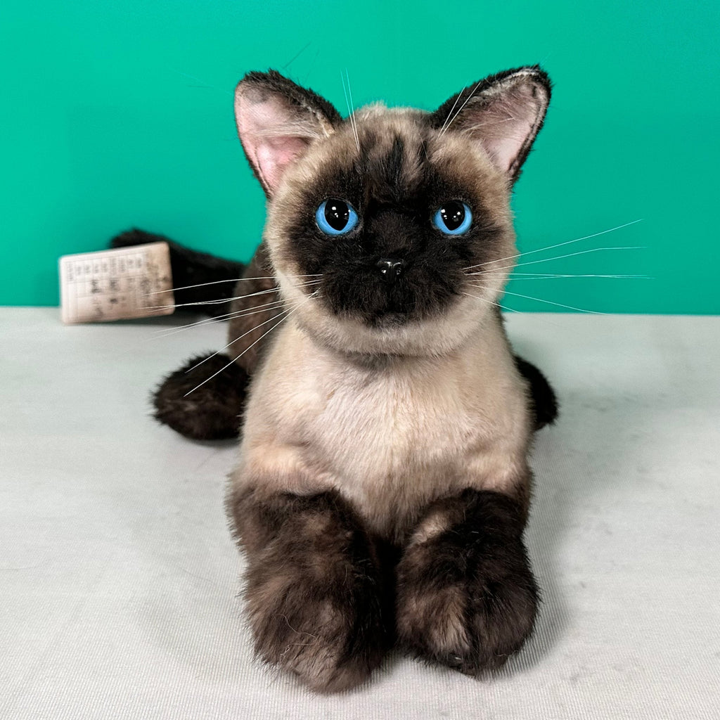 Plush Siamese Shorthair Cat-Weighted-Handmade Life-Size Companion & Pet Memorial