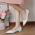 Pointed Toe Low Heel Pump
