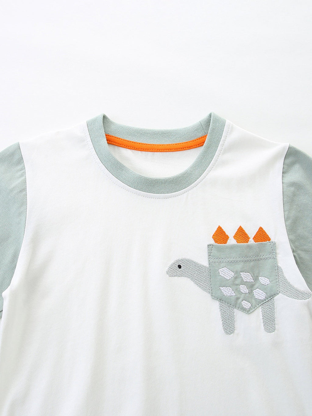 Children's Dinosaur Short Sleeve Tee and Shorts Set