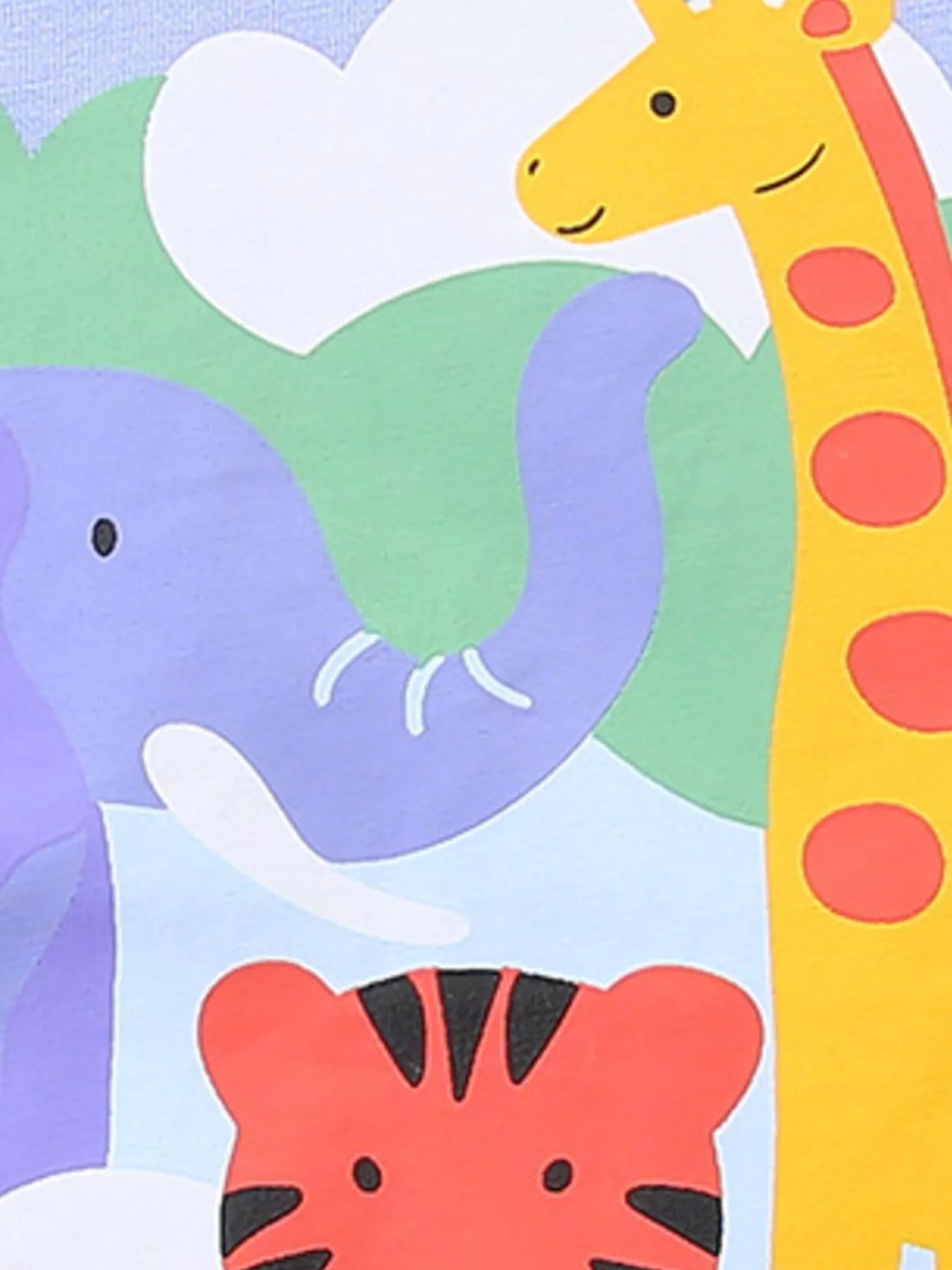 Children's Animal Graphic Color Block Tee and Shorts Set