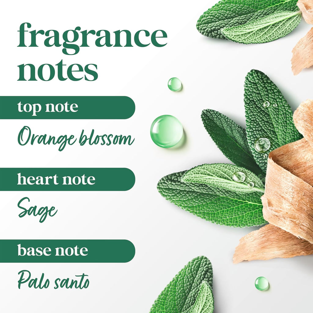 Dove Solid Stick Palo Santo & Sage for 72-Hour Sweat and Odor Protection Alcohol Free 2.6 oz