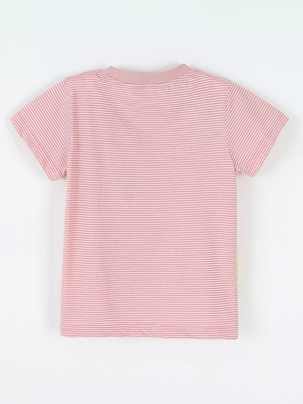Children's Striped Dinosaur Short Sleeve Tee