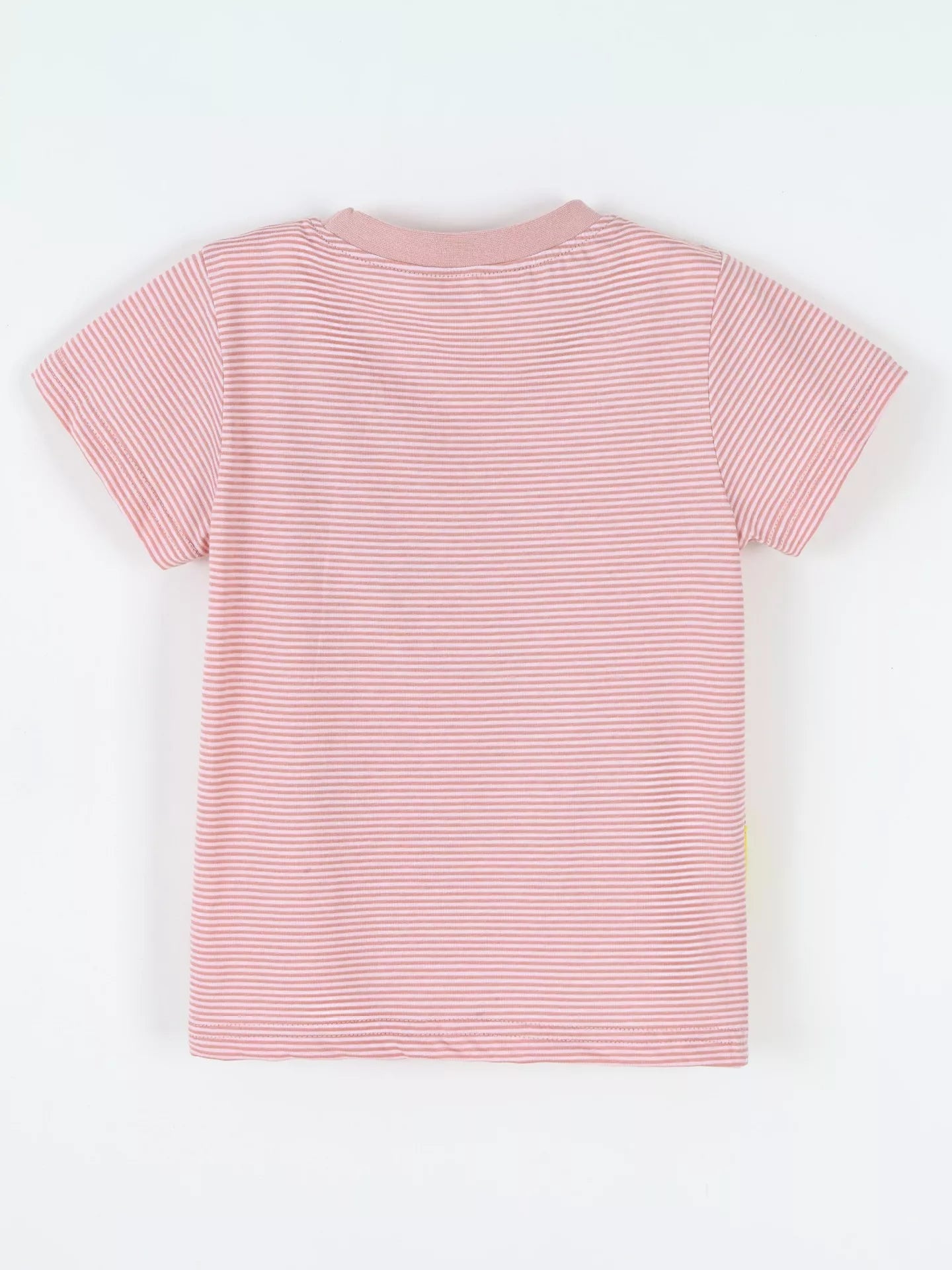 Children's Striped Dinosaur Short Sleeve Tee