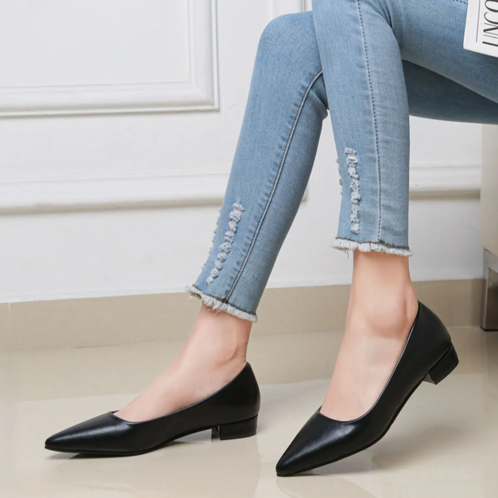 Pointed Toe Low Heel Pump