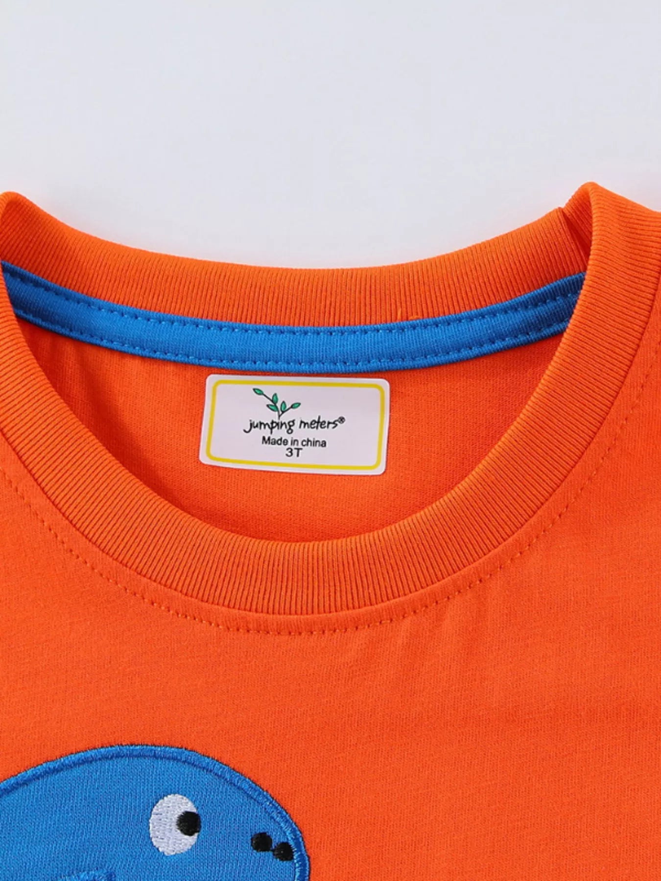 Children's Dinosaur Short Sleeve T-Shirt