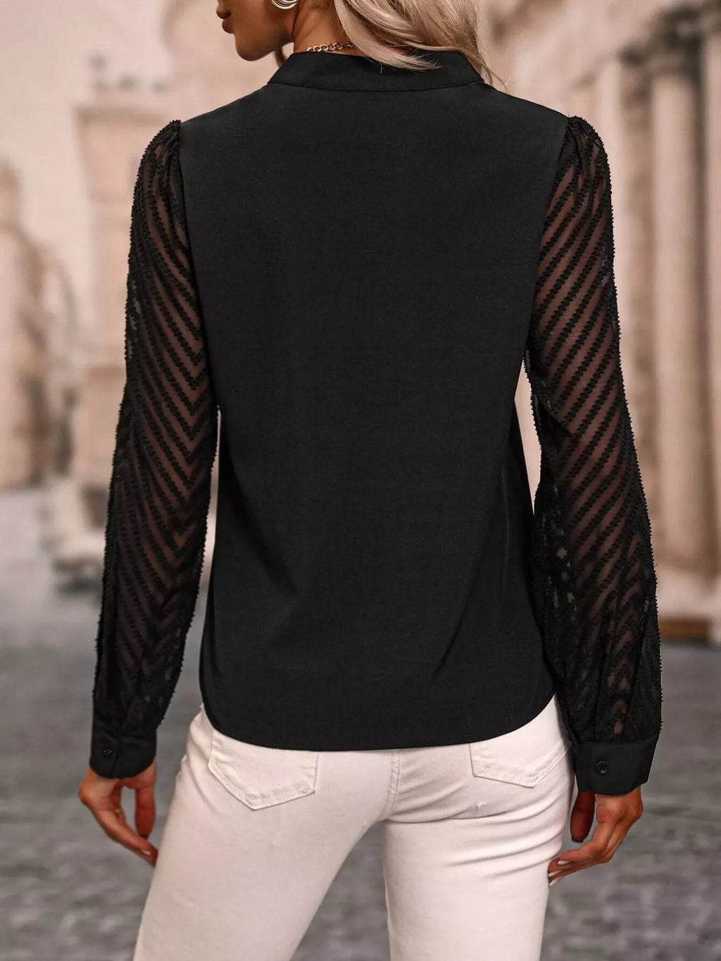 Sheer Sleeve V-Neck Blouse