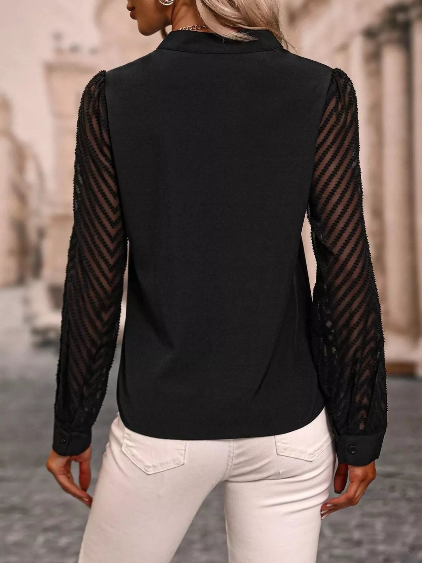 Sheer Sleeve V-Neck Blouse