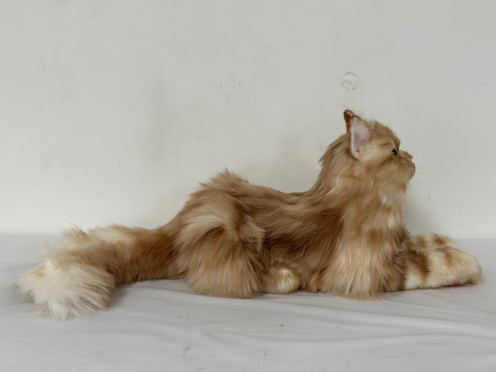 Plush Ginger Cat Longhair Weighted-Handmade Life-Size Companion & Pet Memorial