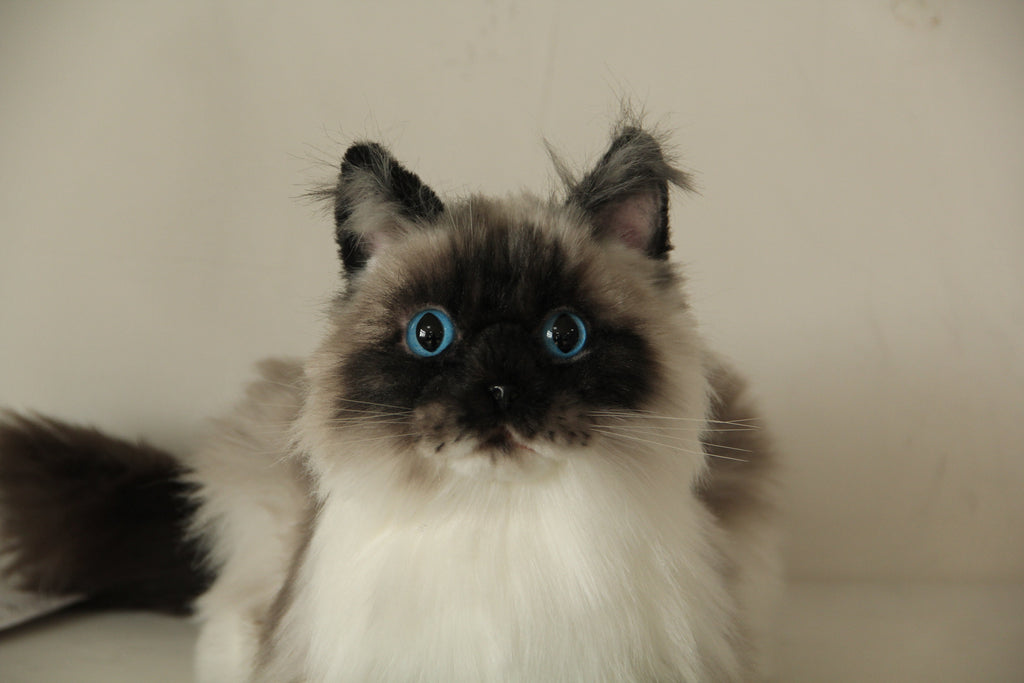 Plush Siamese Cat Longhair Weighted -Handmade Life-Size Companion & Pet Memorial