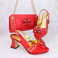 New Shoes And Bag Matching Set HRF1-9