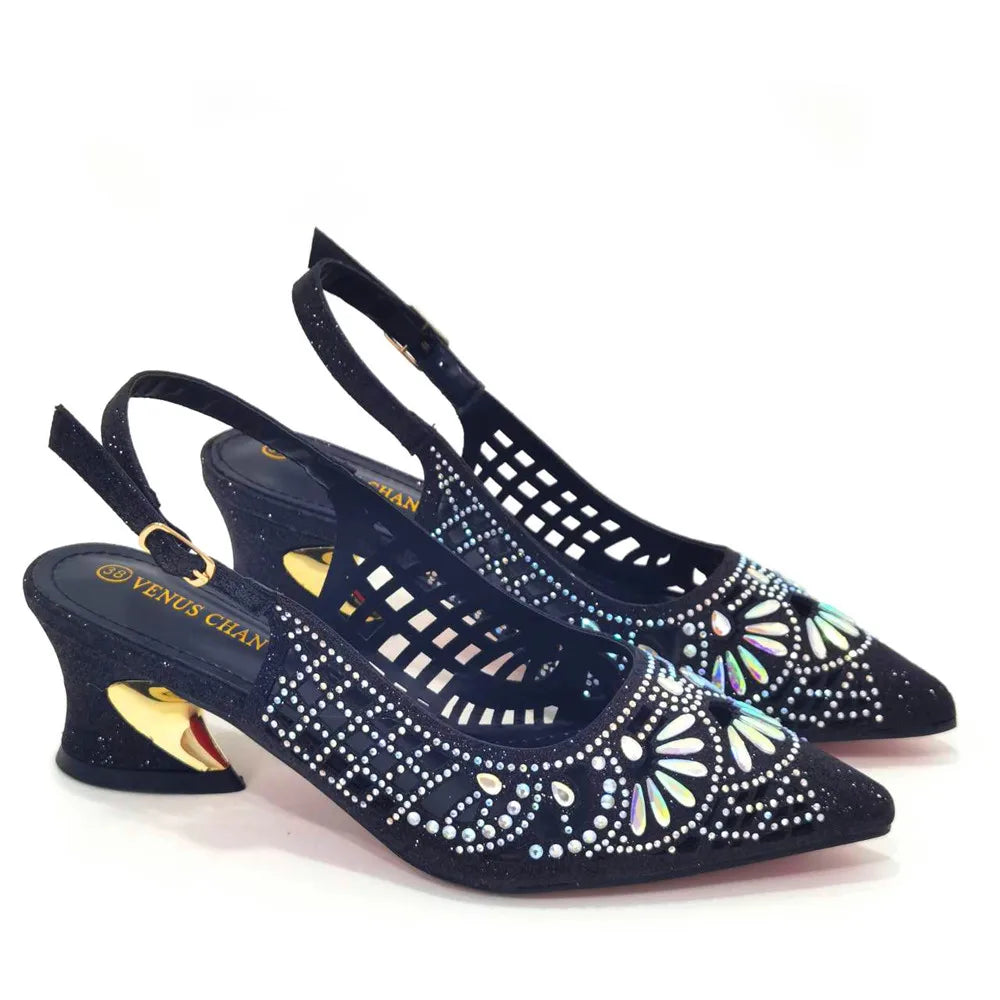 Elegant Ladies Shoes and Bag Set WEQ34