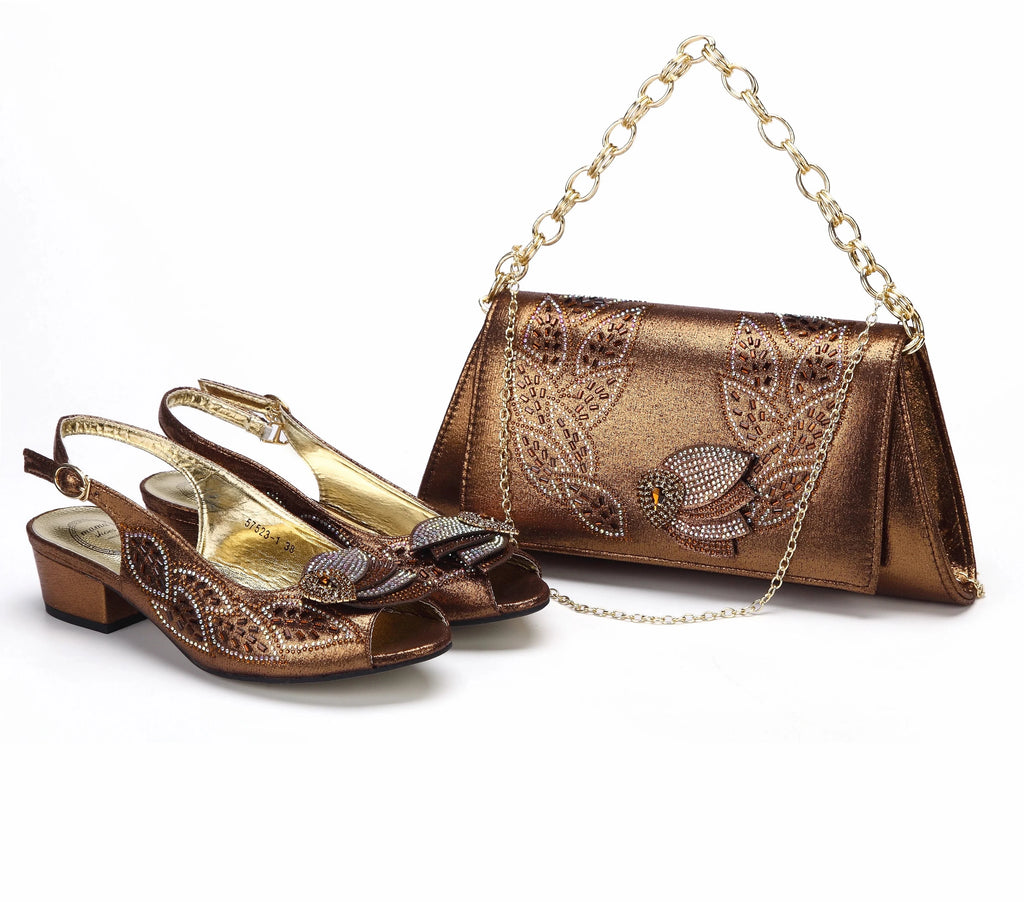 Elegant Low Heels Ladies Shoes And Bag Set